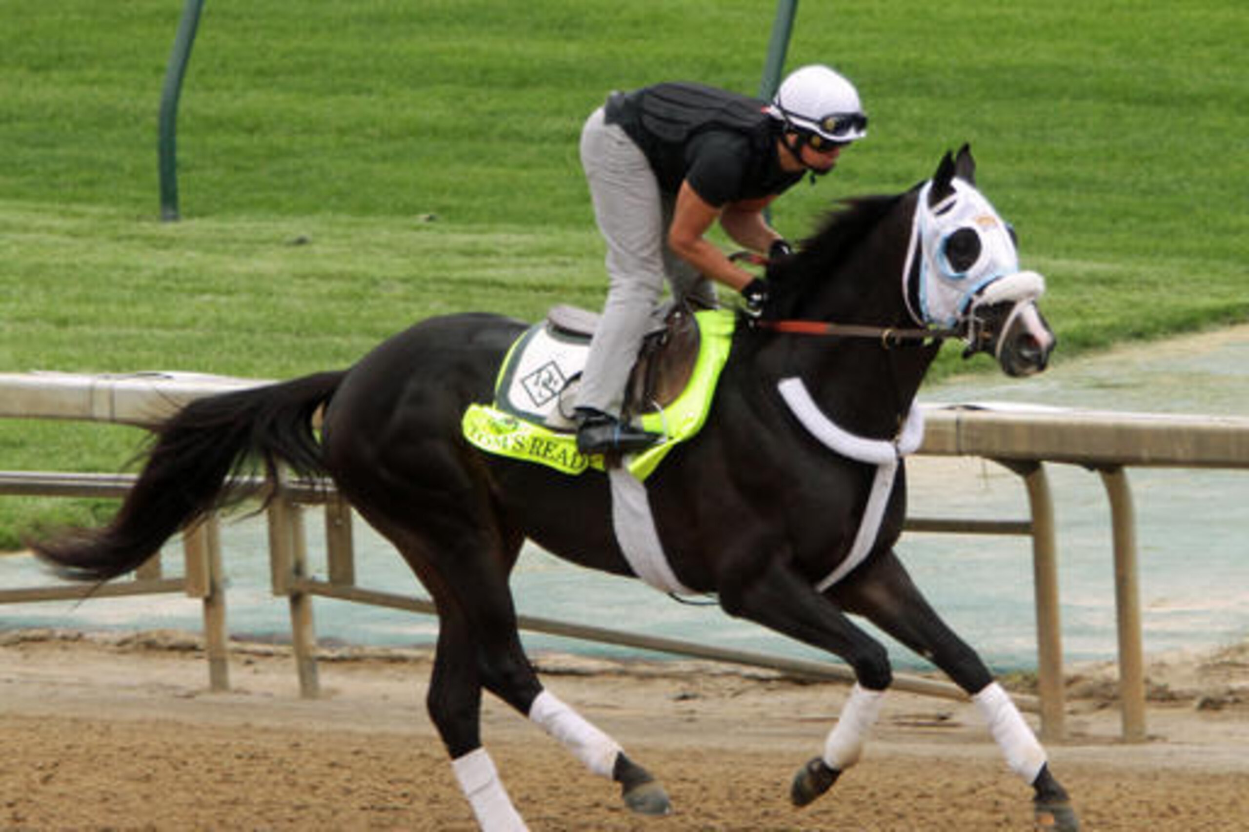 Tom's Ready has the training to pull off an upset.