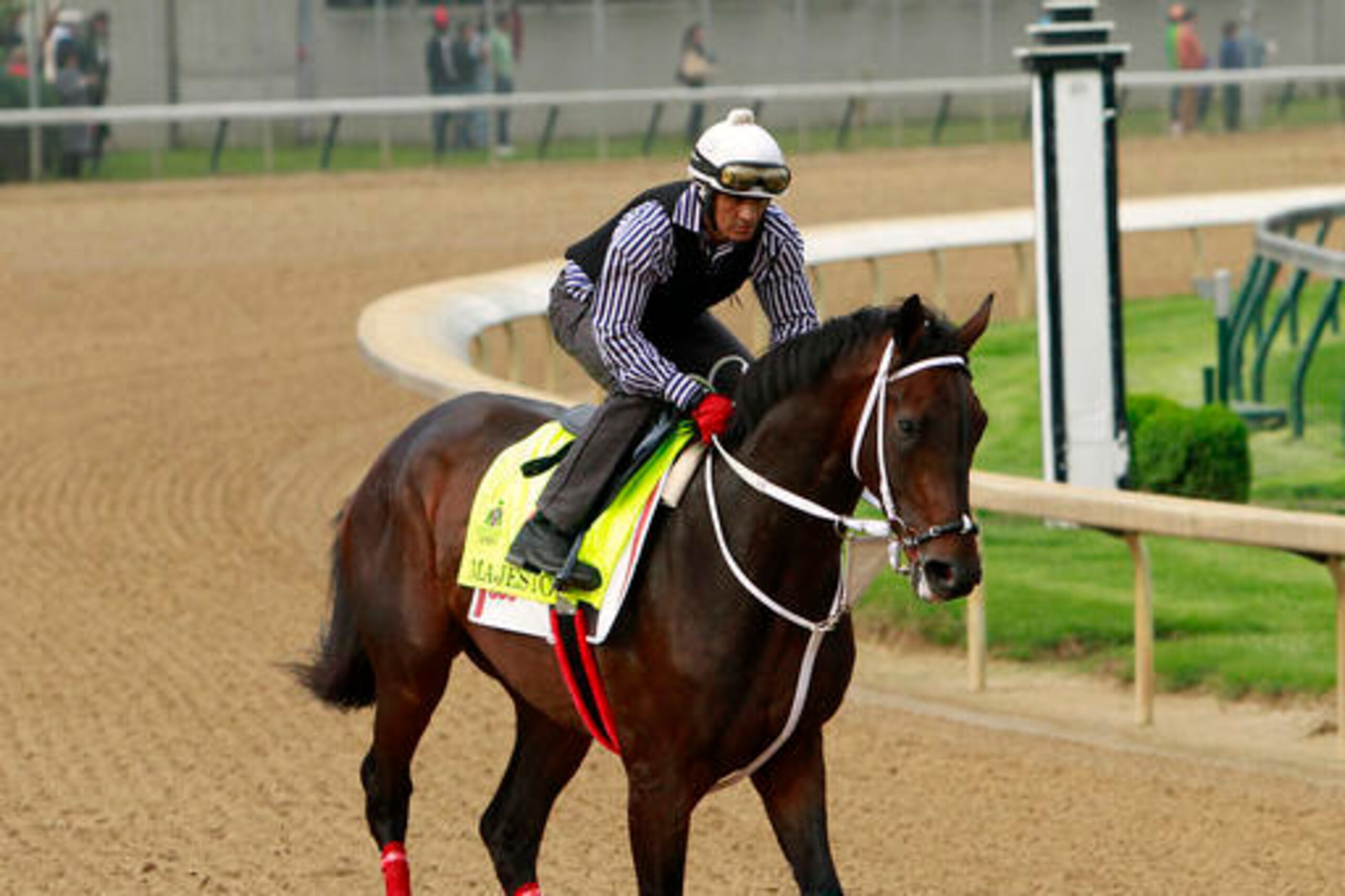 Majesto has a great post and a capable jockey.
