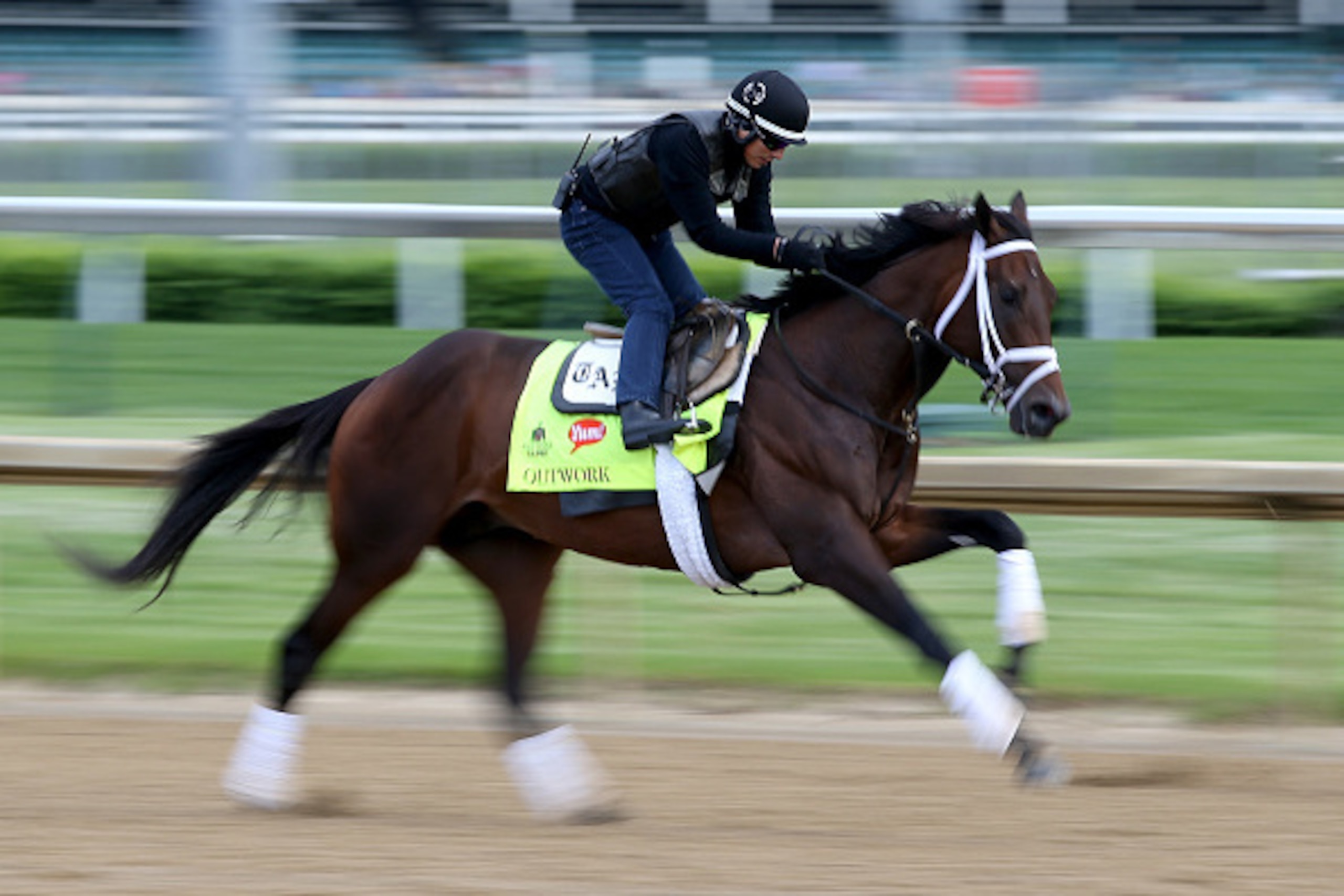 LOUISVILLE, KY - MAY 04:  Outwork runs on the track during the morning training for the 2016 Kentucky Derby at Churchill Downs on May 04, 2016 in Louisville, Kentucky.  (Photo by Andy Lyons/Getty Images)