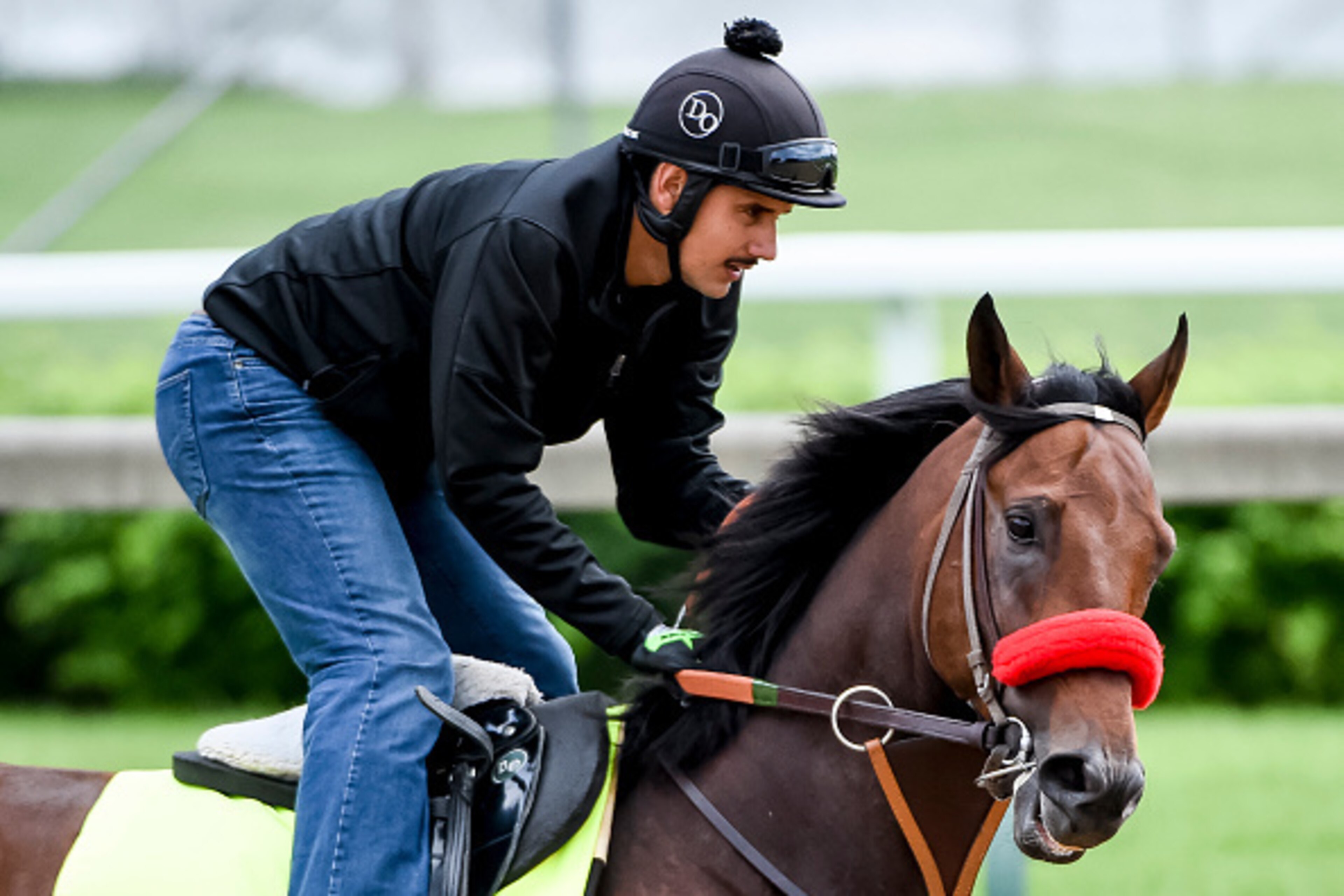 LOUISVILLE, KY - MAY 03: Nyquist, ridden by exercise rider Jonny Garcia, trained by Doug O'Neill and owned by Reddam Racing LLC, exercises and prepares during morning workouts for the Kentucky Derby and Kentucky Oaks at Churchill Downs on May 3, 2016 in L