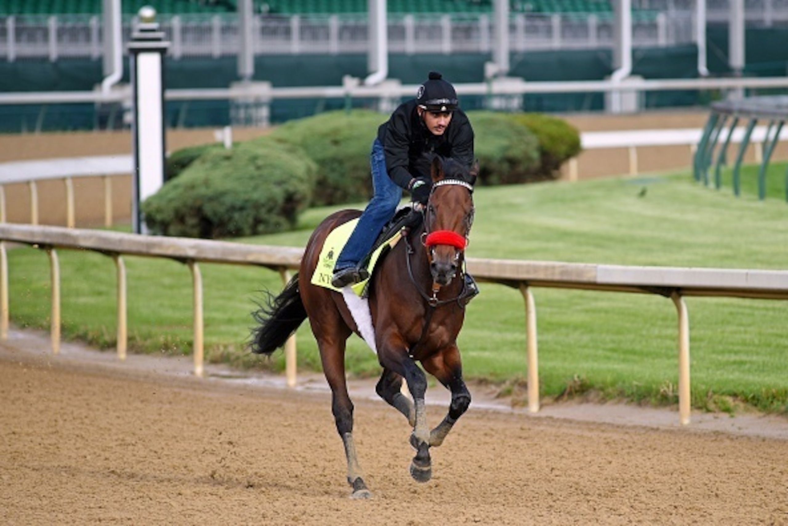 LOUISVILLE, KY - MAY 5: Kentucky Derby contender Nyquist gallops at Churchill Downs Race Track on May 5, 2016 at Churchill Downs, Louisville(Photo by Horsephotos/Getty Images)