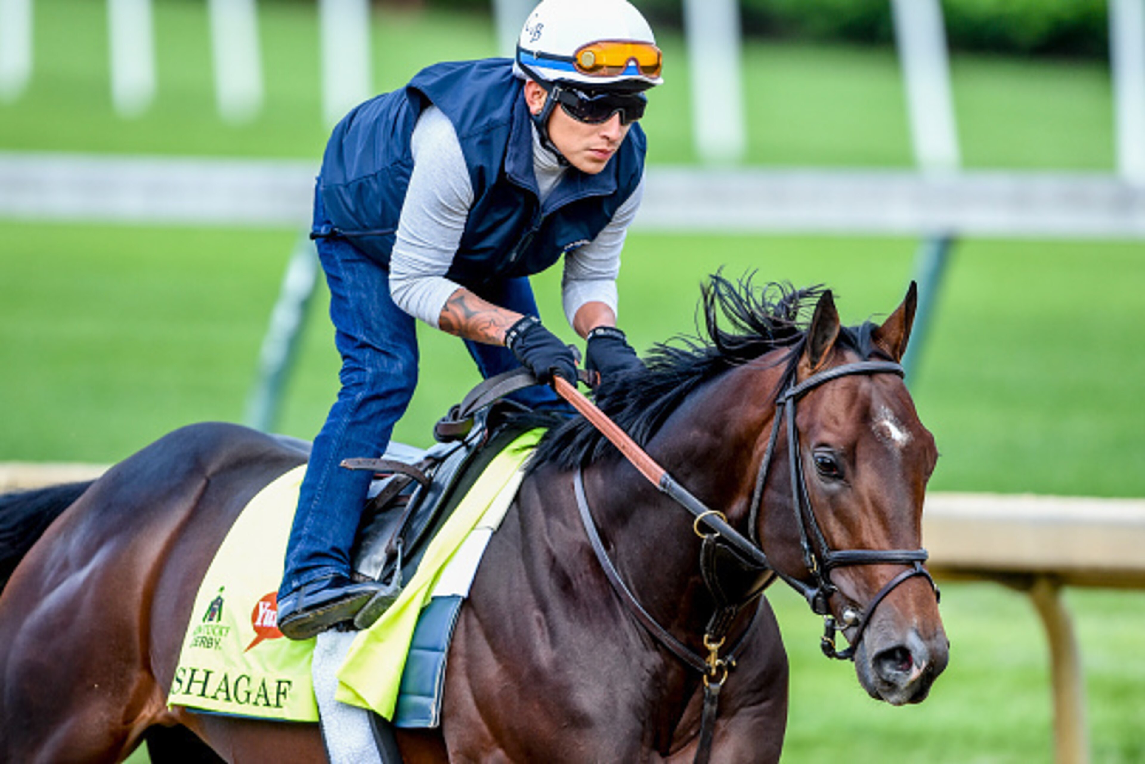 LOUISVILLE, KY - MAY 04: Shagaf, trained by Chad Brown and owned by Shadwell Stable, exercises and prepares during morning workouts for the Kentucky Derby and Kentucky Oaks at Churchill Downs on May 4, 2016 in Louisville, Kentucky. (Photo by John Voorhees