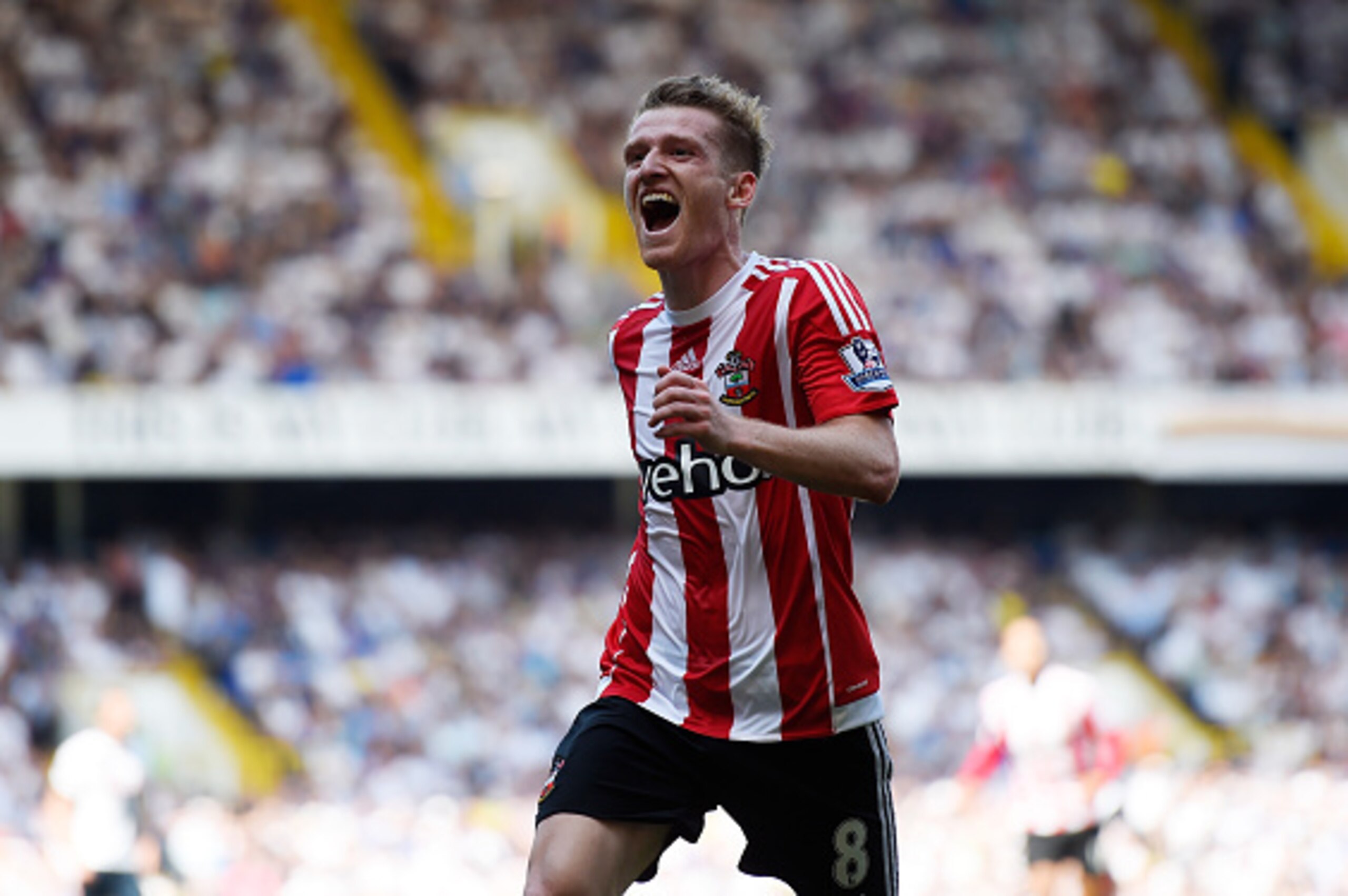 LONDON, ENGLAND - MAY 08:  Steven Davis of Southampton celebrates after scoring his second goal during the Barclays Premier League match between Tottenham Hotspur and Southampton at White Hart Lane on May 8, 2016 in London, England.  (Photo by Mike Hewitt