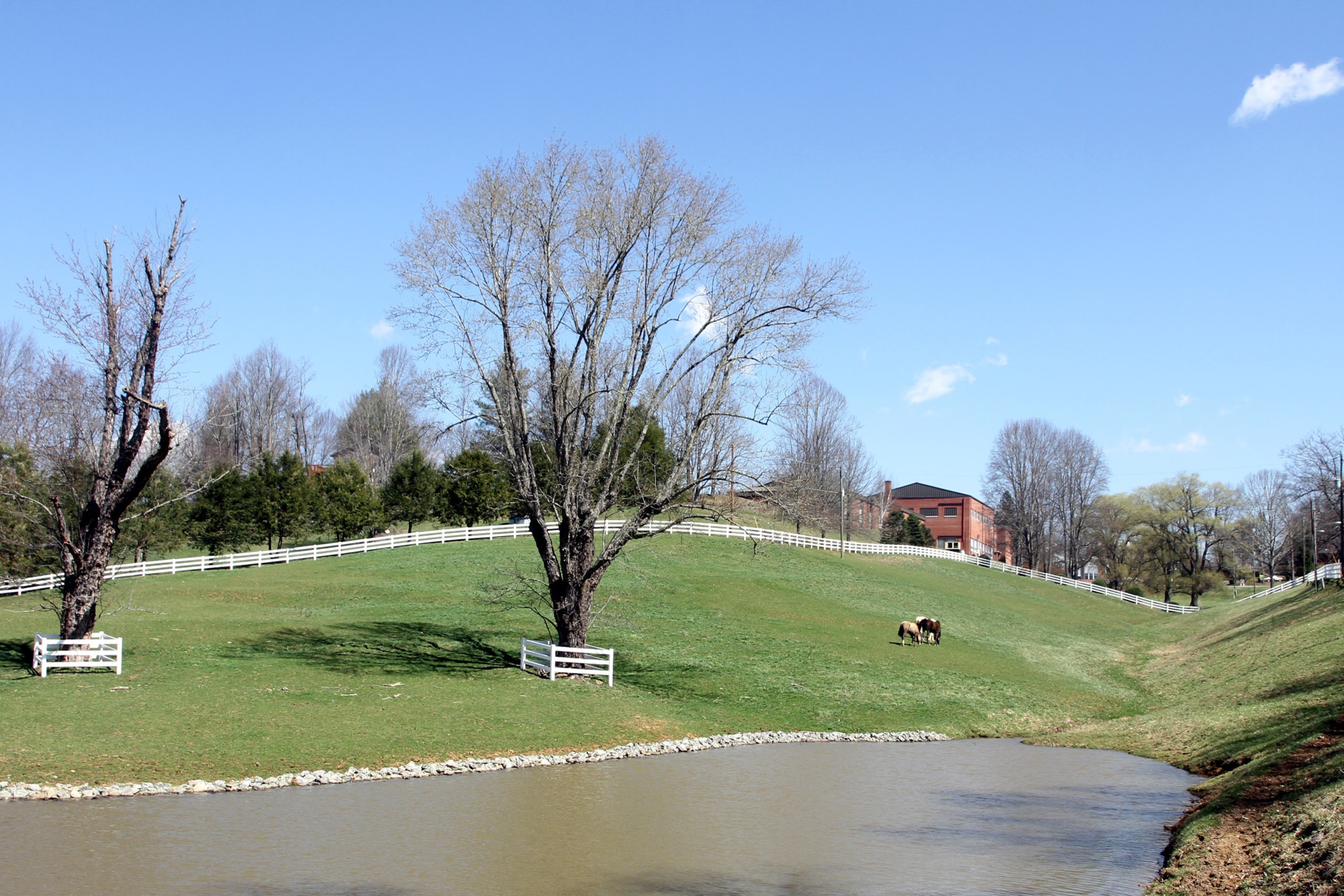 The bucolic setting of Oak Hill Academy.