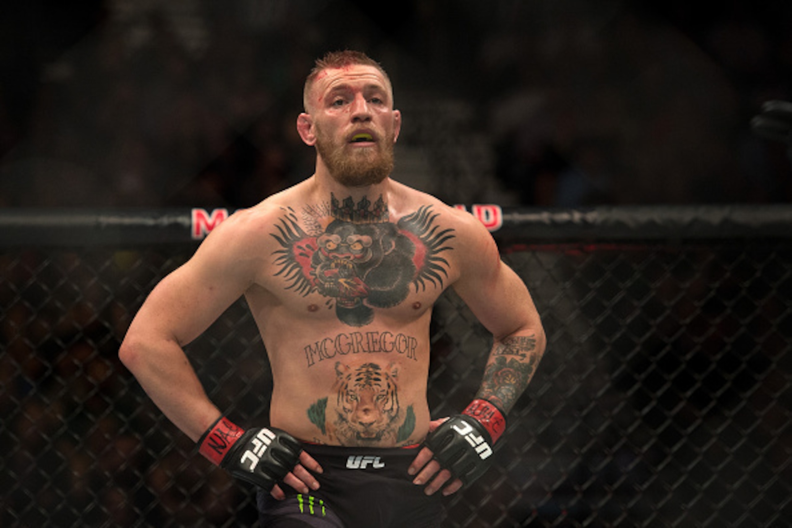 LAS VEGAS, NV - MARCH 5: Conor McGregor prepares for the second round to begin while facing Nate Diaz in their welterweight bout during the UFC 196 in the MGM Grand Garden Arena on March 5, 2016 in Las Vegas, Nevada. (Photo by Brandon Magnus/Zuffa LLC/Z LAS VEGAS, NV - MARCH 5: Conor McGregor prepares for the second round to begin while facing Nate Diaz in their welterweight bout during the UFC 196 in the MGM Grand Garden Arena on March 5, 2016 in Las Vegas, Nevada. (Photo by Brandon Magnus/Zuffa LLC/Z