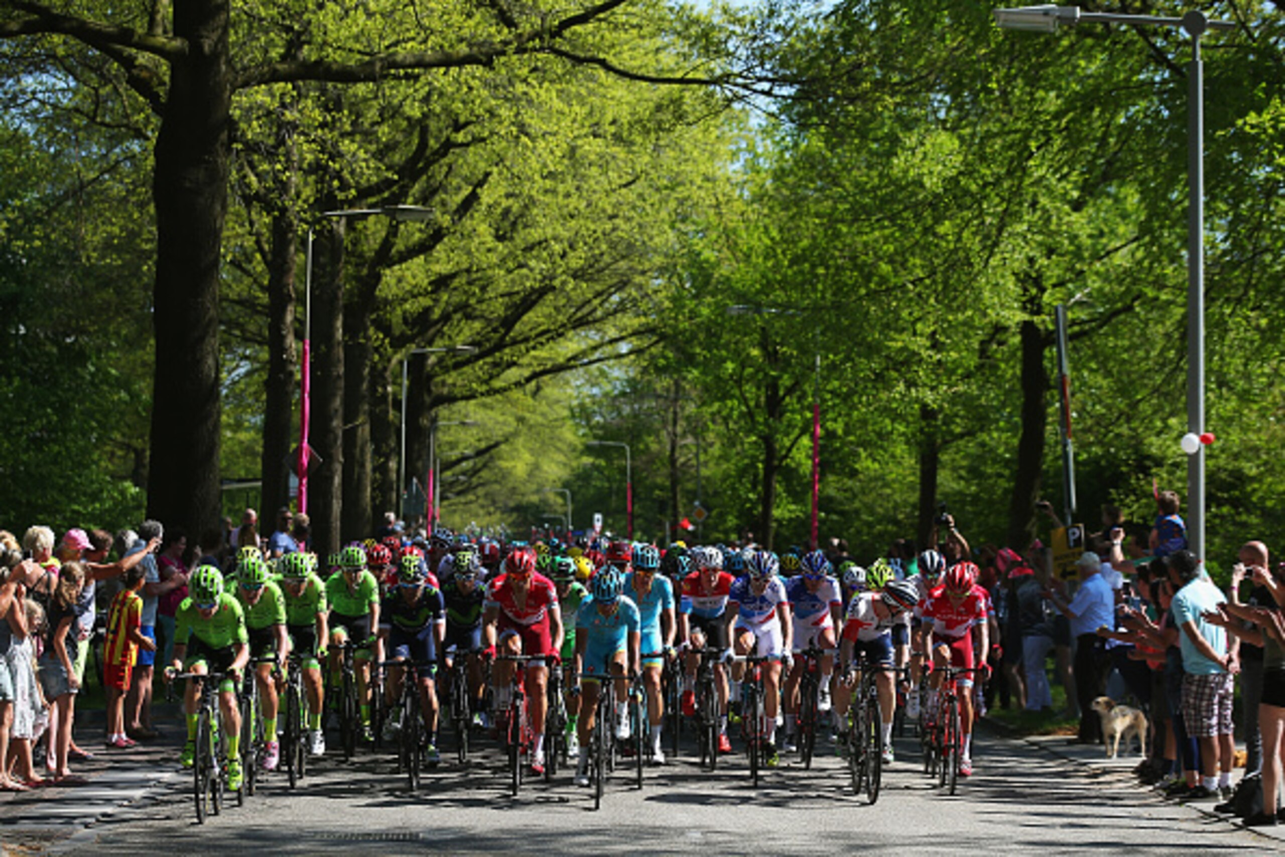 ARNHEM, NETHERLANDS - MAY 08:  The peloton makes it's way through the Dutch countryside on stage three of the 2016 Giro d'Italia, after a 190km stage from Nijmegen to Arnhem on May 8, 2016 in Arnhem, Netherlands.  (Photo by Bryn Lennon/Getty Images)