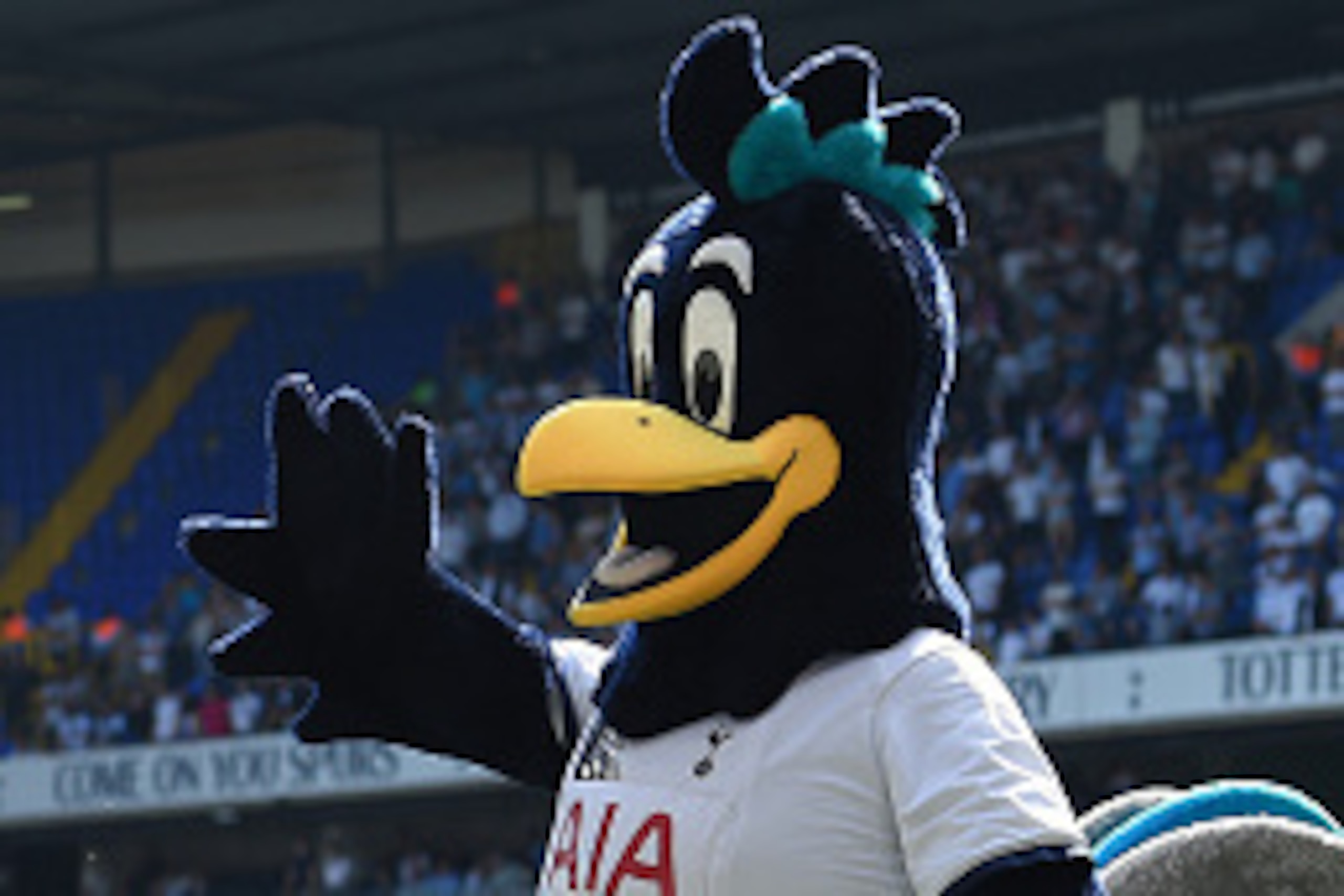 LONDON, ENGLAND - MAY 08:  Chirpy the Tottenham Mascot parades around the pitch with the players following the Barclays Premier League match between Tottenham Hotspur and Southampton at White Hart Lane on May 8, 2016 in London, England.  (Photo by Shaun B