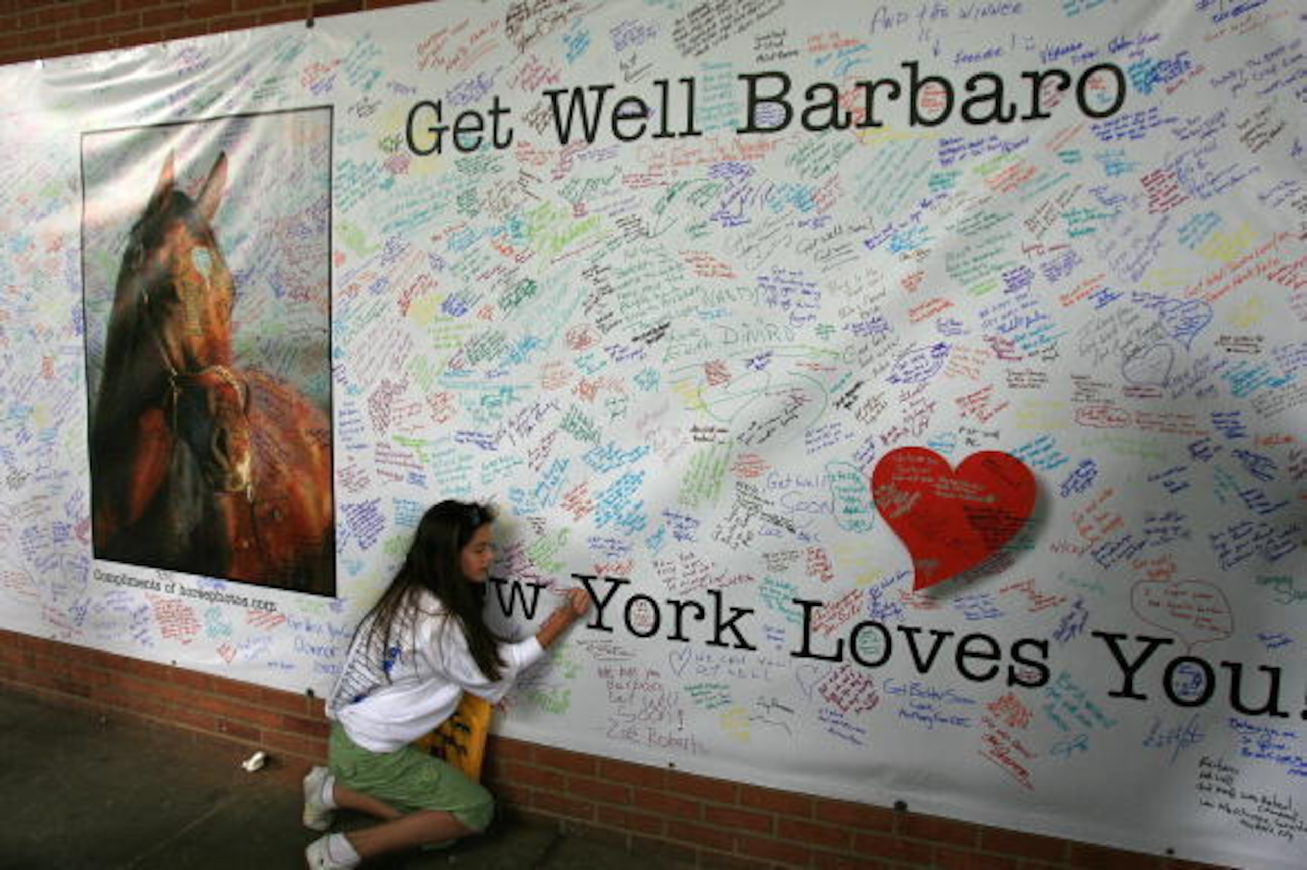 ELMONT, NY - JUNE 10:  Nicole Friend of New Jersey signs a get well card for Barbaro before 138th running of of the Belmont Stakes on June 10, 2006 at Belmont Park in Elmont, New York.  (Photo by Travis Lindquist/Getty Images)
