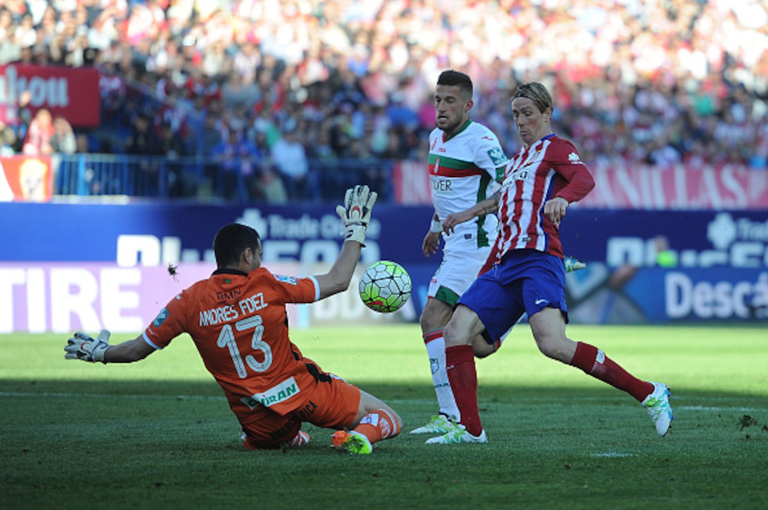 MADRID, SPAIN - APRIL 17:  Fernando Torres of Club Atletico de Madrid beats Andres Fernandez of Granada to score his team's 2nd goal during the La Liga match between Club Atletico de Madrid and Granada CF at Vicente Calderon Stadium on April 17, 2016 in M