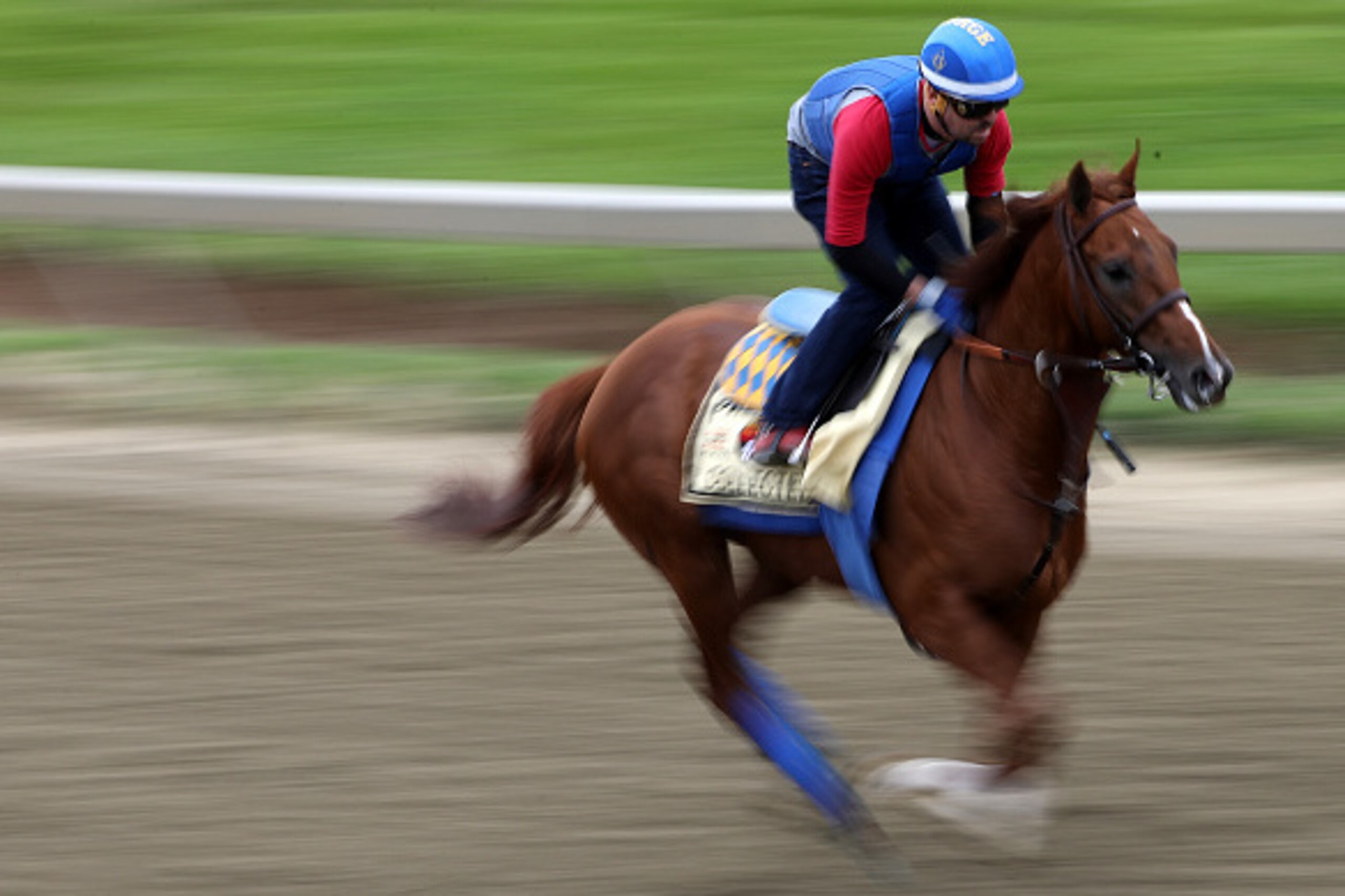 BALTIMORE, MD - MAY 19: Preakness contender Collected trains on track during a training session for the 141st running of the Preakness Stakes at Pimlico Race Course on on May 19, 2016 in Baltimore, Maryland. (Photo by Patrick Smith/Getty Images)