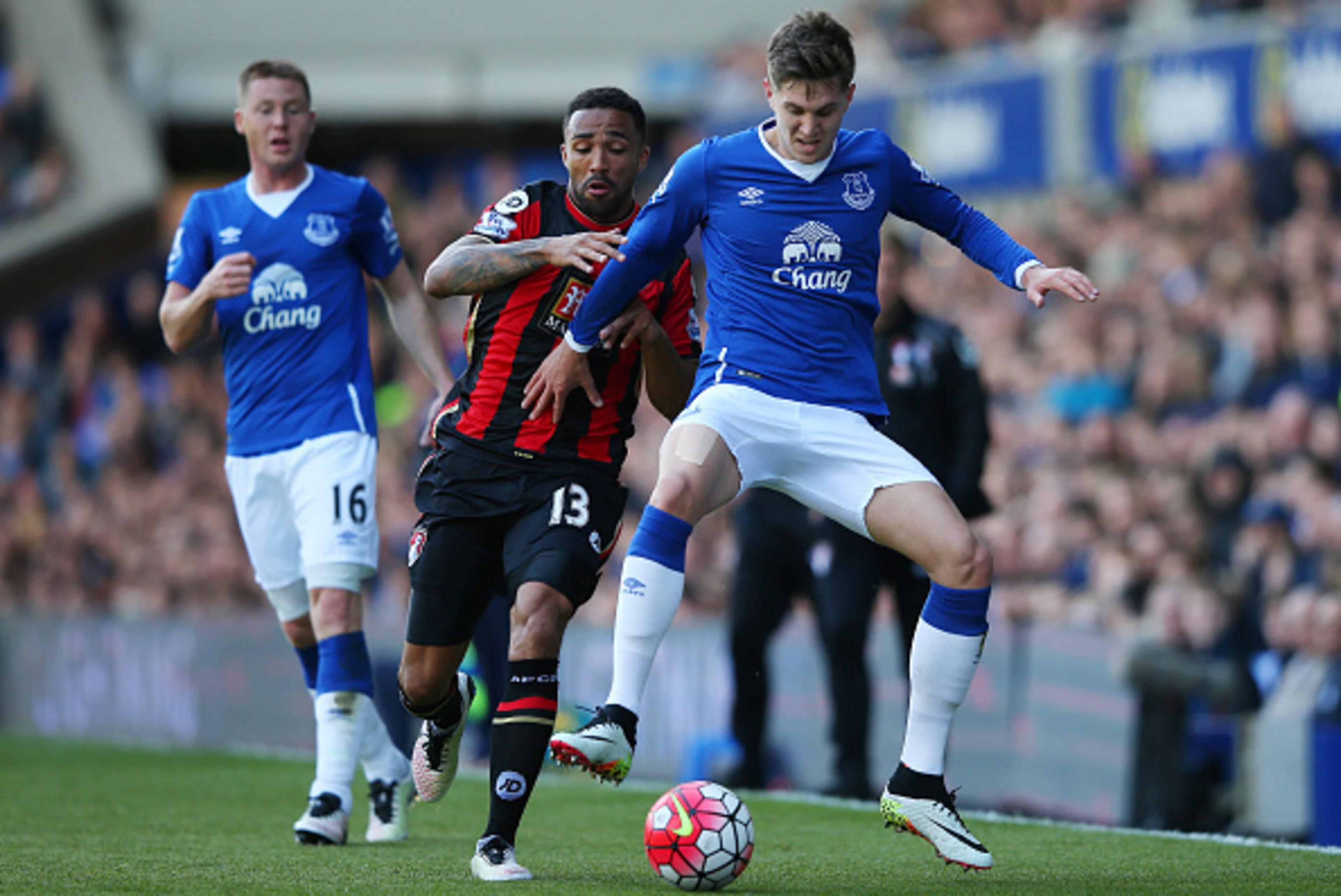 LIVERPOOL, UNITED KINGDOM - APRIL 30:  John Stones of Everton and Callum Wilson of Bournemouth compete for the ball during the Barclays Premier League match between Everton and A.F.C. Bournemouth at Goodison Park on April 30, 2016 in Liverpool, England.  