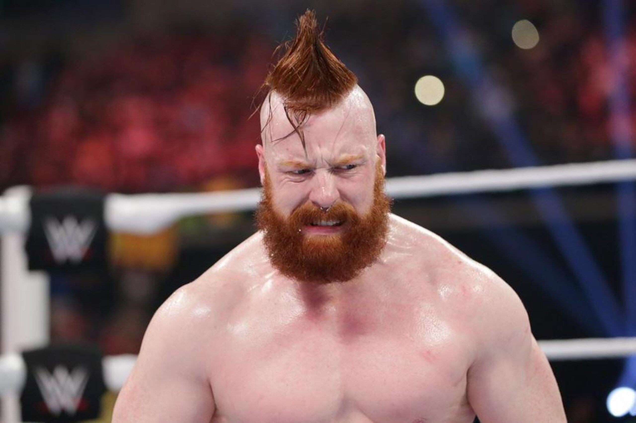 Sheamus didn't take not qualifying for the Money in the Bank ladder match well.