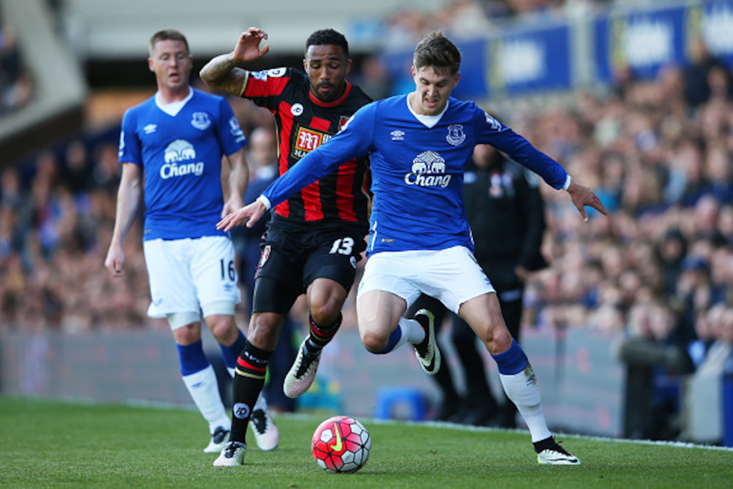 LIVERPOOL, UNITED KINGDOM - APRIL 30:  John Stones of Everton and Callum Wilson of Bournemouth compete for the ball during the Barclays Premier League match between Everton and A.F.C. Bournemouth at Goodison Park on April 30, 2016 in Liverpool, England.  