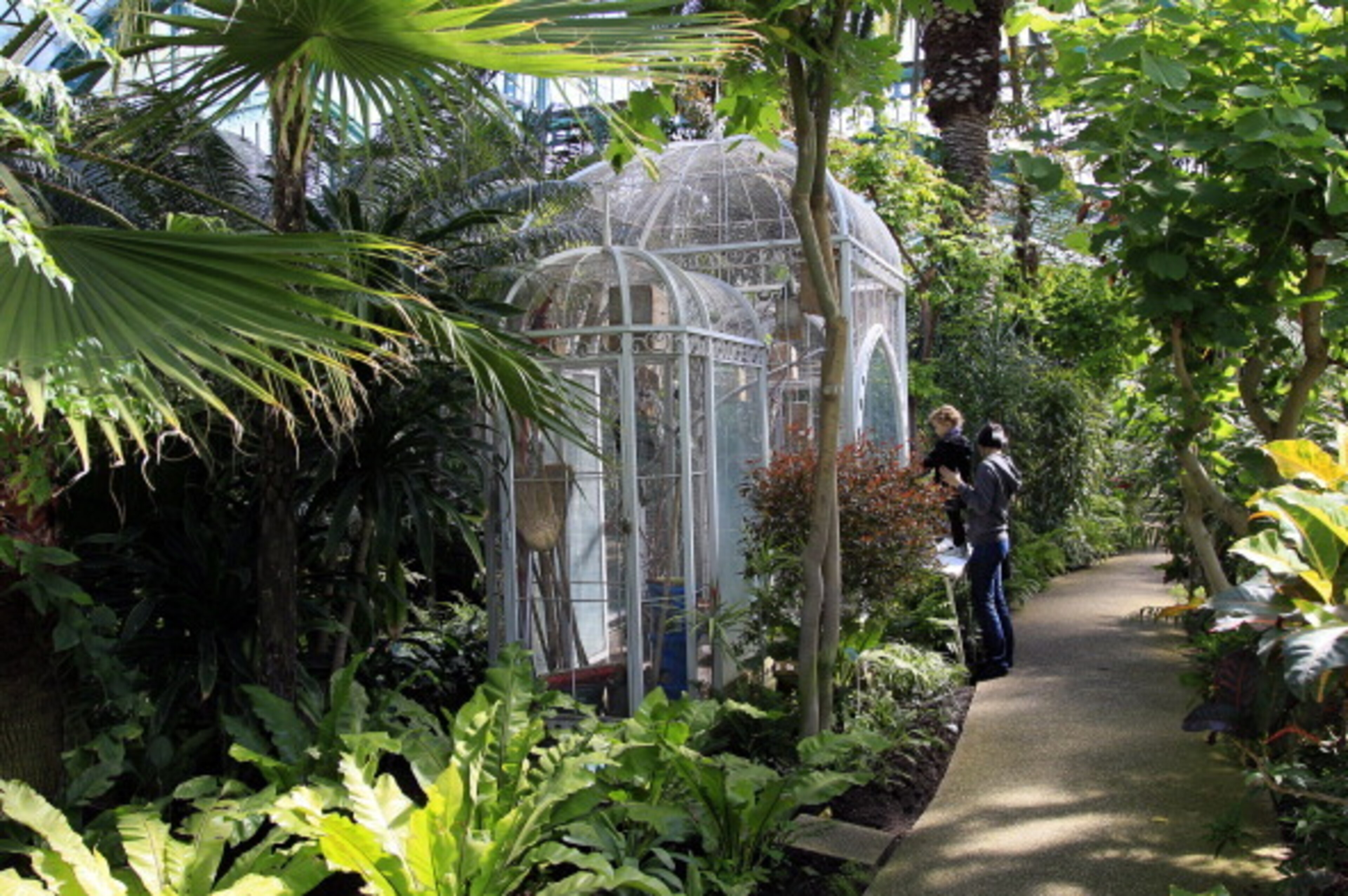 A woman and a child visit a greenhouse, on April 30, 2012, at the 'Jardin des serres d'Auteuil' ('Auteuil's Greenhouses', also known as the Paris Botanical Garden) in Paris. The Paris' municipality and the French Tennis Federation plan to extend partially