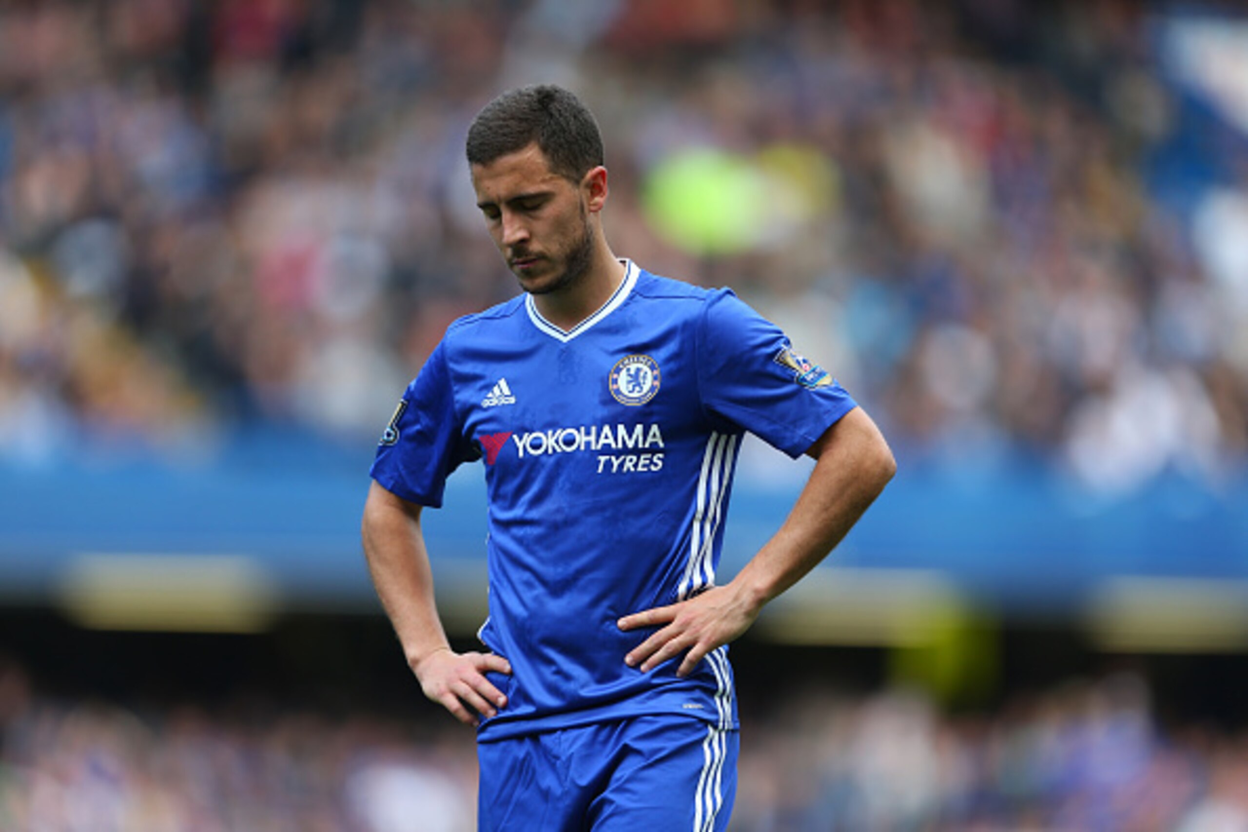 LONDON, ENGLAND - MAY 15: Eden Hazard of Chelsea during the Barclays Premier League match between Chelsea and Leicester City at Stamford Bridge on May 15, 2016 in London, England. (Photo by Catherine Ivill - AMA/Getty Images)