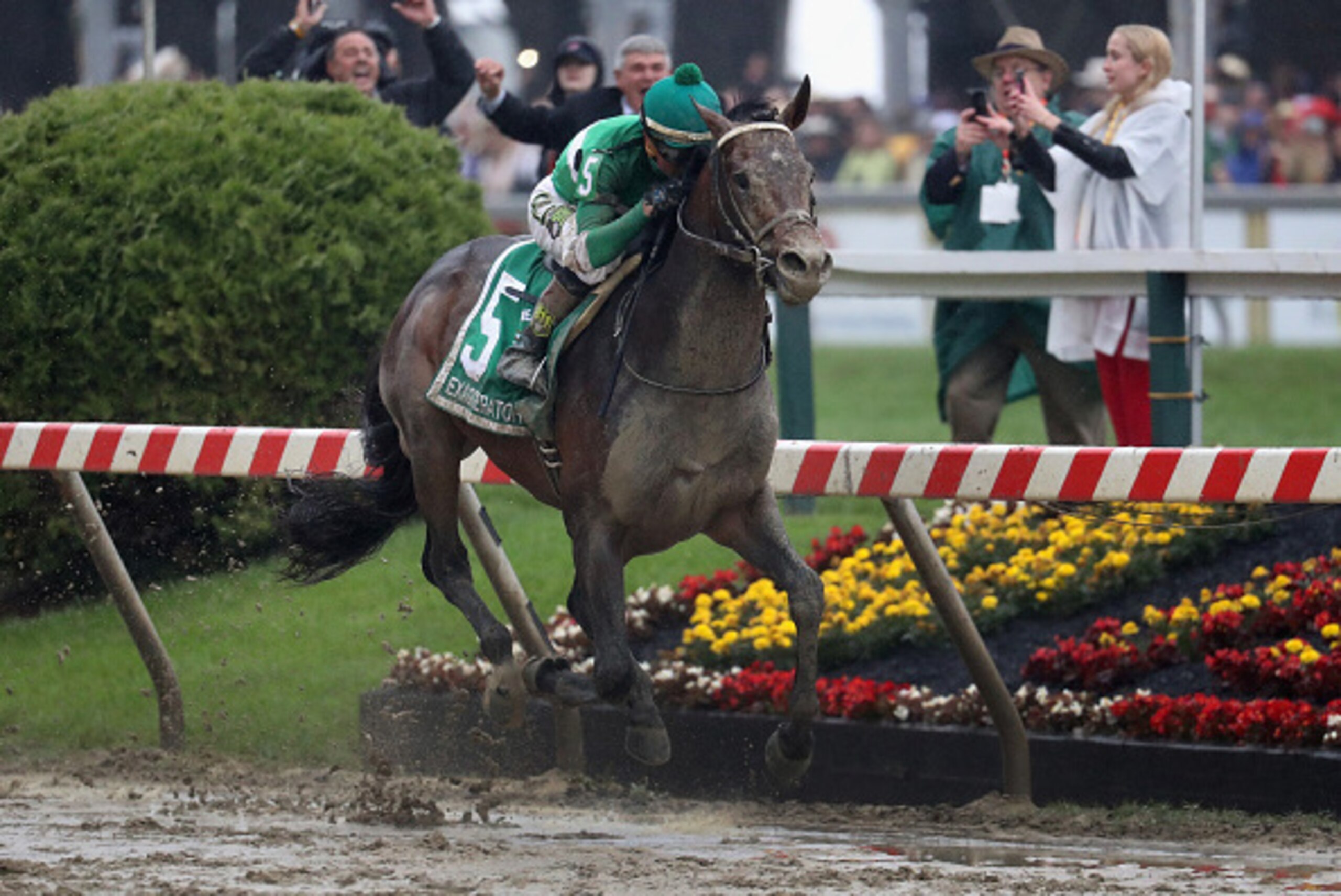 BALTIMORE, MD - MAY 21:  Jockey Kent Desormeaux rides Exaggerator #5 to win the 141st Running of the Preakness Stakes at Pimlico Race Course on May 21, 2016 in Baltimore, Maryland.  (Photo by Rob Carr/Getty Images)