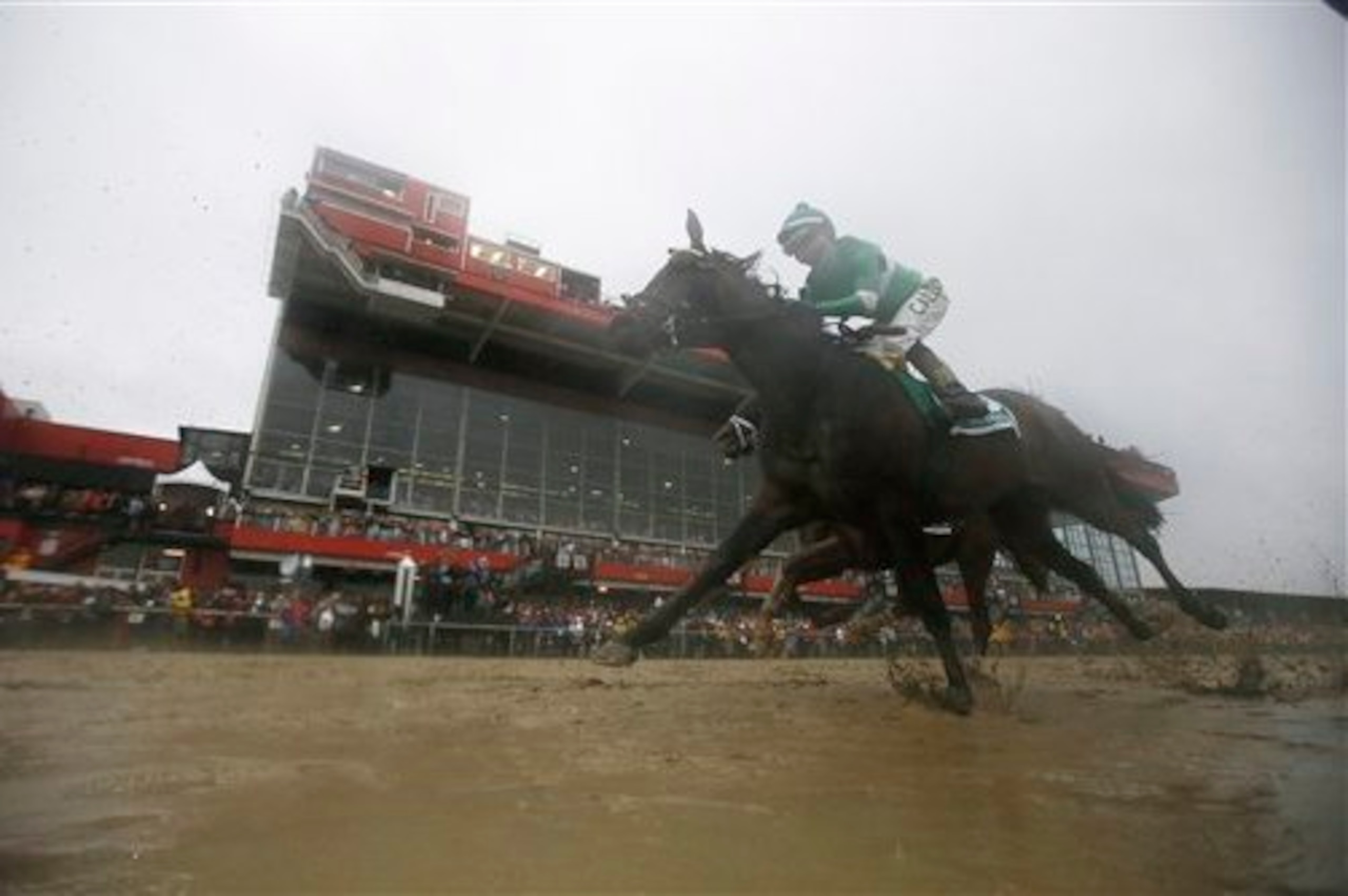 Exaggerator paced the field at Preakness. Exaggerator paced the field at Preakness.