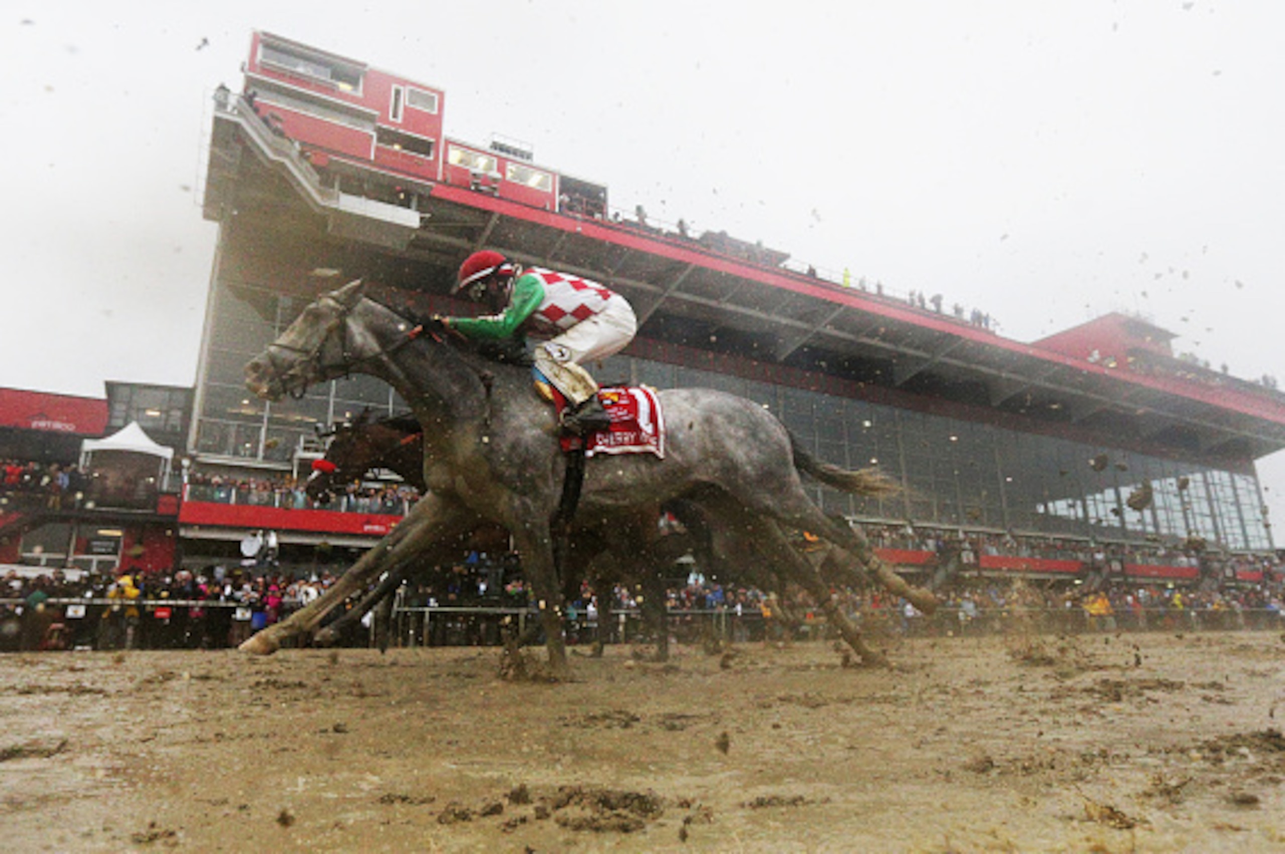 BALTIMORE, MD - MAY 21:  Jockey Corey Lanerie aboard Cherry Wine #1 finishes second to third place finisher Nyquist #3 with Mario Gutierrez aboard, during the 141st Running of the Preakness Stakes at Pimlico Race Course on May 21, 2016 in Baltimore, Maryl
