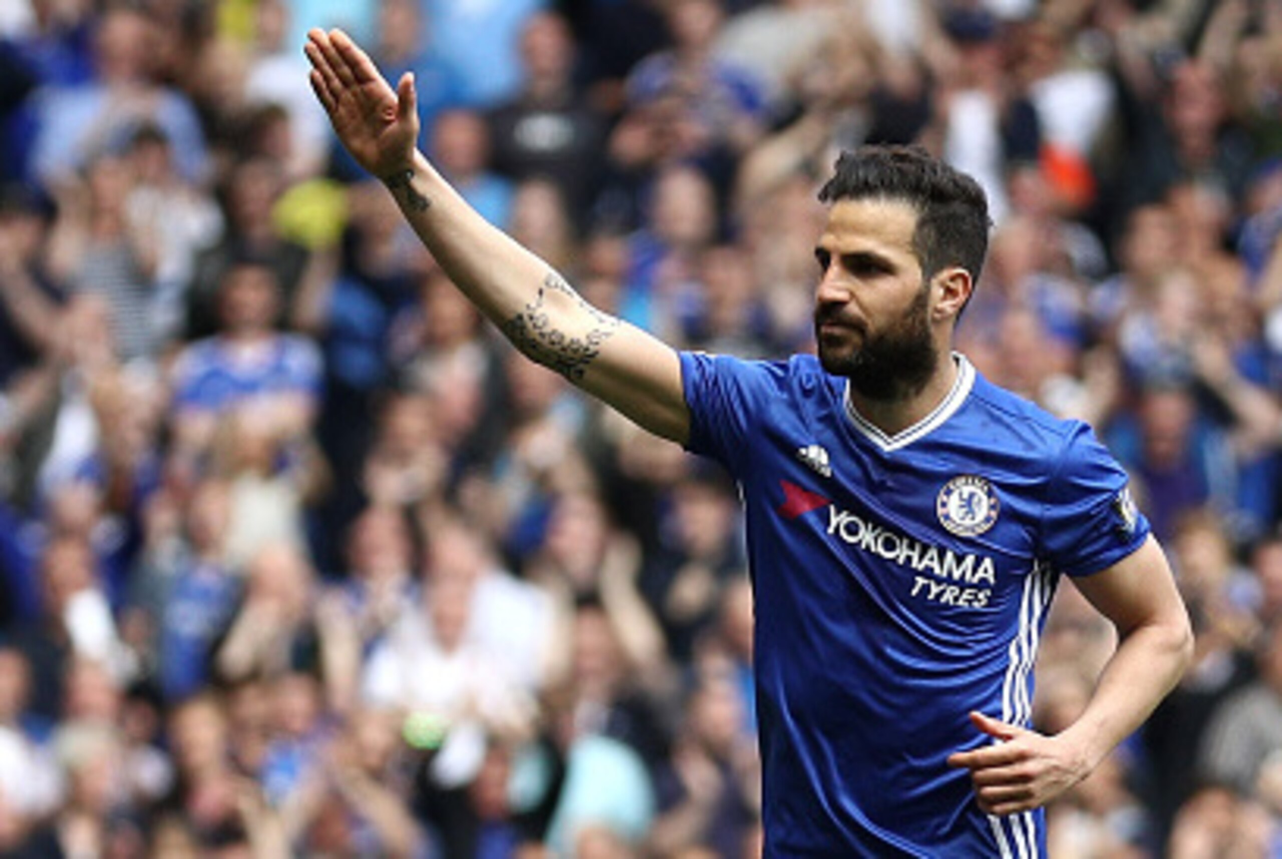 LONDON, ENGLAND - MAY 15:  Sesc Fabregas of Chelsea celebrates scoring his team's first goal from the penalty spot during the Barclays Premier League match between Chelsea and Leicester City at Stamford Bridge on May 15, 2016 in London, England.  (Photo b