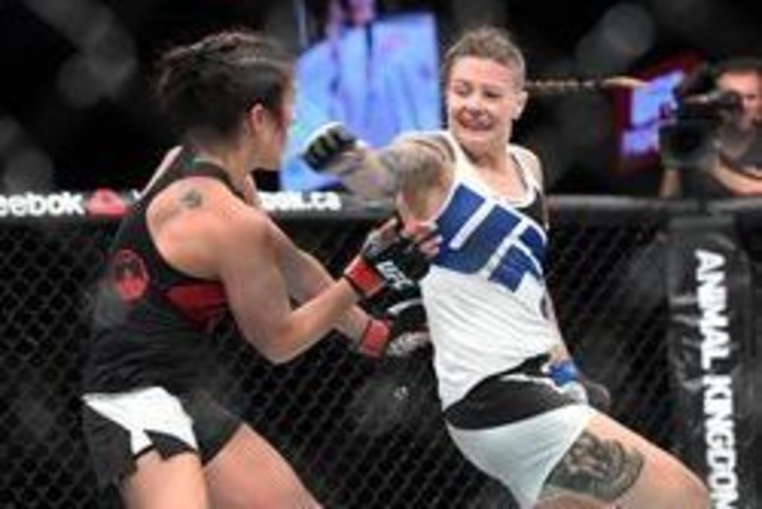 Jun 18, 2016; Ottawa, Ontario, Canada; Valerie Letourneau (red gloves) fights Joanne Calderwood (blue gloves) in a womens flyweight bout during UFC Fight Night at TD Place Arena. Mandatory Credit: Marc DesRosiers-USA TODAY Sports Jun 18, 2016; Ottawa, Ontario, Canada; Valerie Letourneau (red gloves) fights Joanne Calderwood (blue gloves) in a womens flyweight bout during UFC Fight Night at TD Place Arena. Mandatory Credit: Marc DesRosiers-USA TODAY Sports