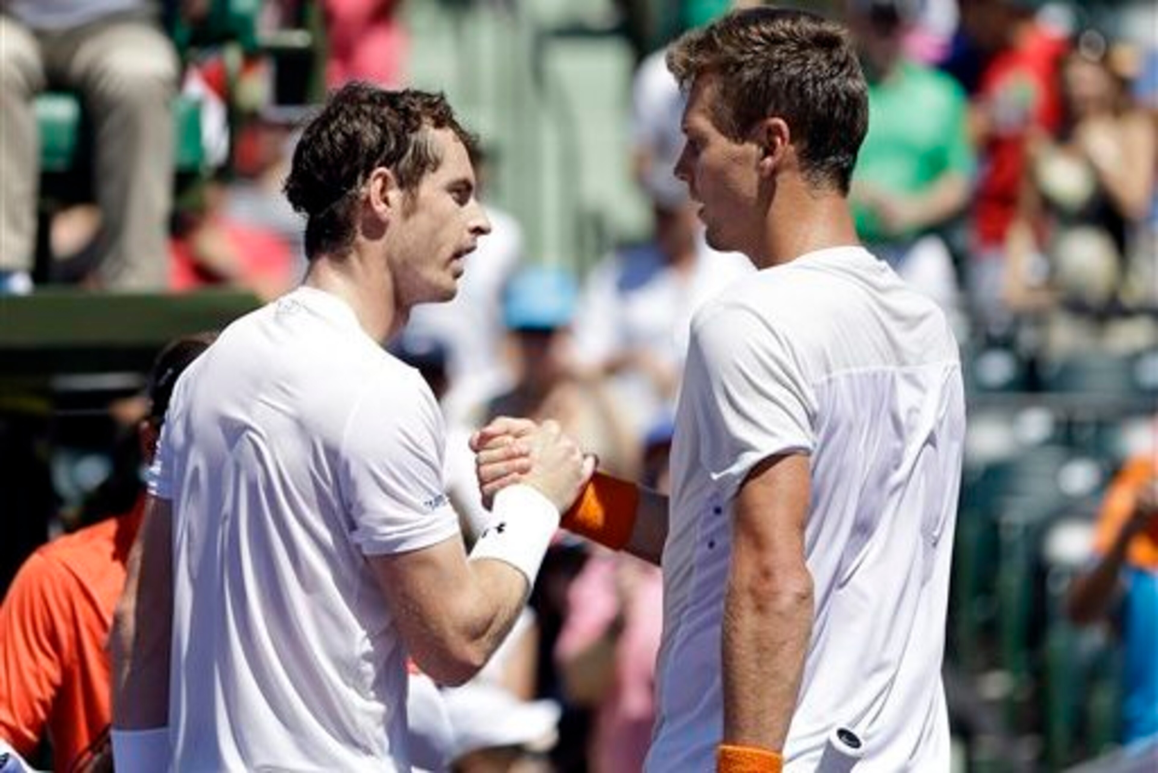 A real rivalry exists between Murray and Berdych.