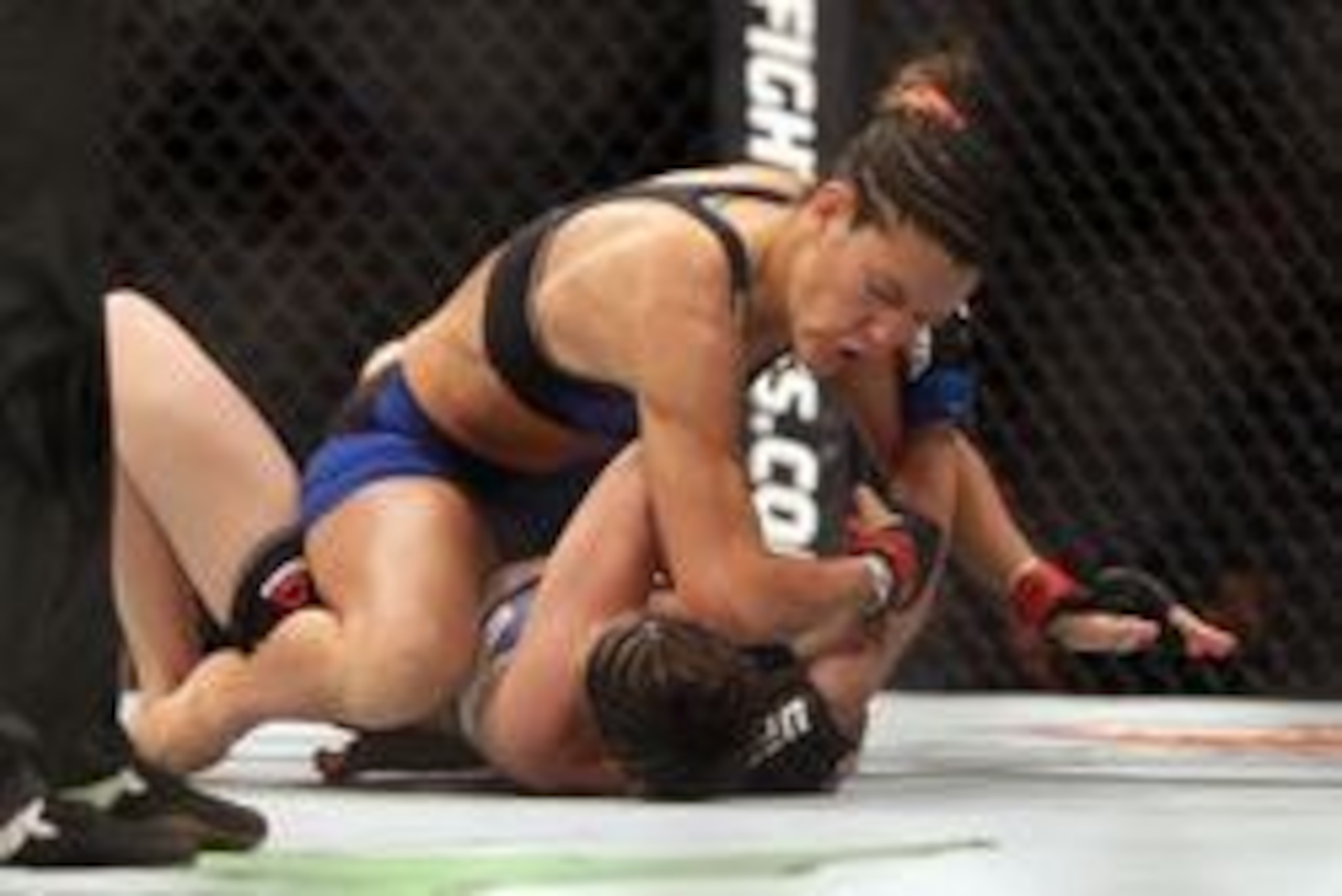 Jul 13, 2016; Sioux Falls, SD, USA; Cortney Casey (red gloves) fights against Cristina Stanciu (blue gloves) during UFC Fight Night at Denny Sanford Premier Center. Mandatory Credit: Brad Rempel-USA TODAY Sports Jul 13, 2016; Sioux Falls, SD, USA; Cortney Casey (red gloves) fights against Cristina Stanciu (blue gloves) during UFC Fight Night at Denny Sanford Premier Center. Mandatory Credit: Brad Rempel-USA TODAY Sports