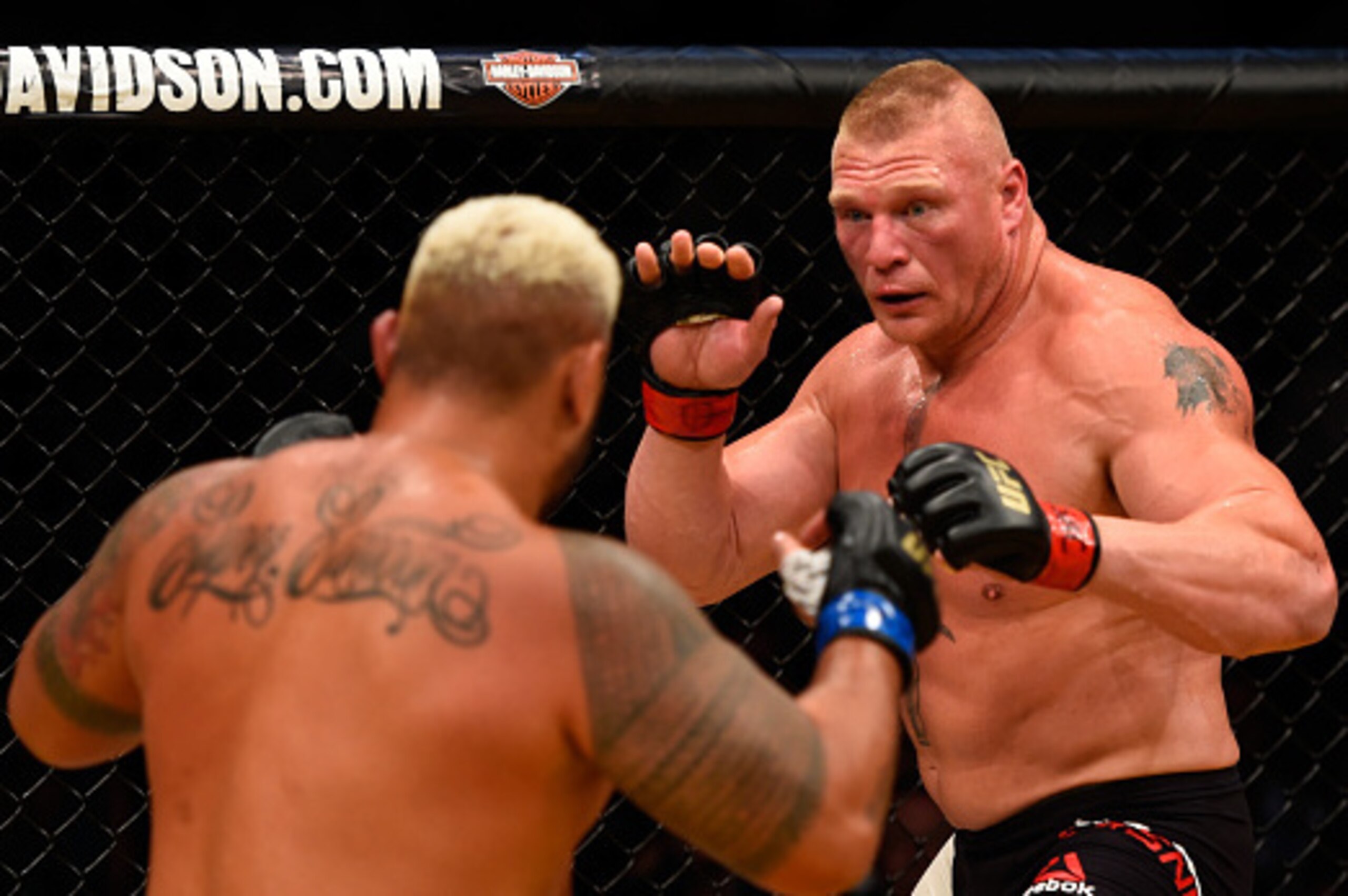 LAS VEGAS, NV - JULY 09: (L-R) Mark Hunt of New Zealand and Brock Lesnar face off in their heavyweight bout during the UFC 200 event on July 9, 2016 at T-Mobile Arena in Las Vegas, Nevada.  (Photo by Josh Hedges/Zuffa LLC/Zuffa LLC via Getty Images)