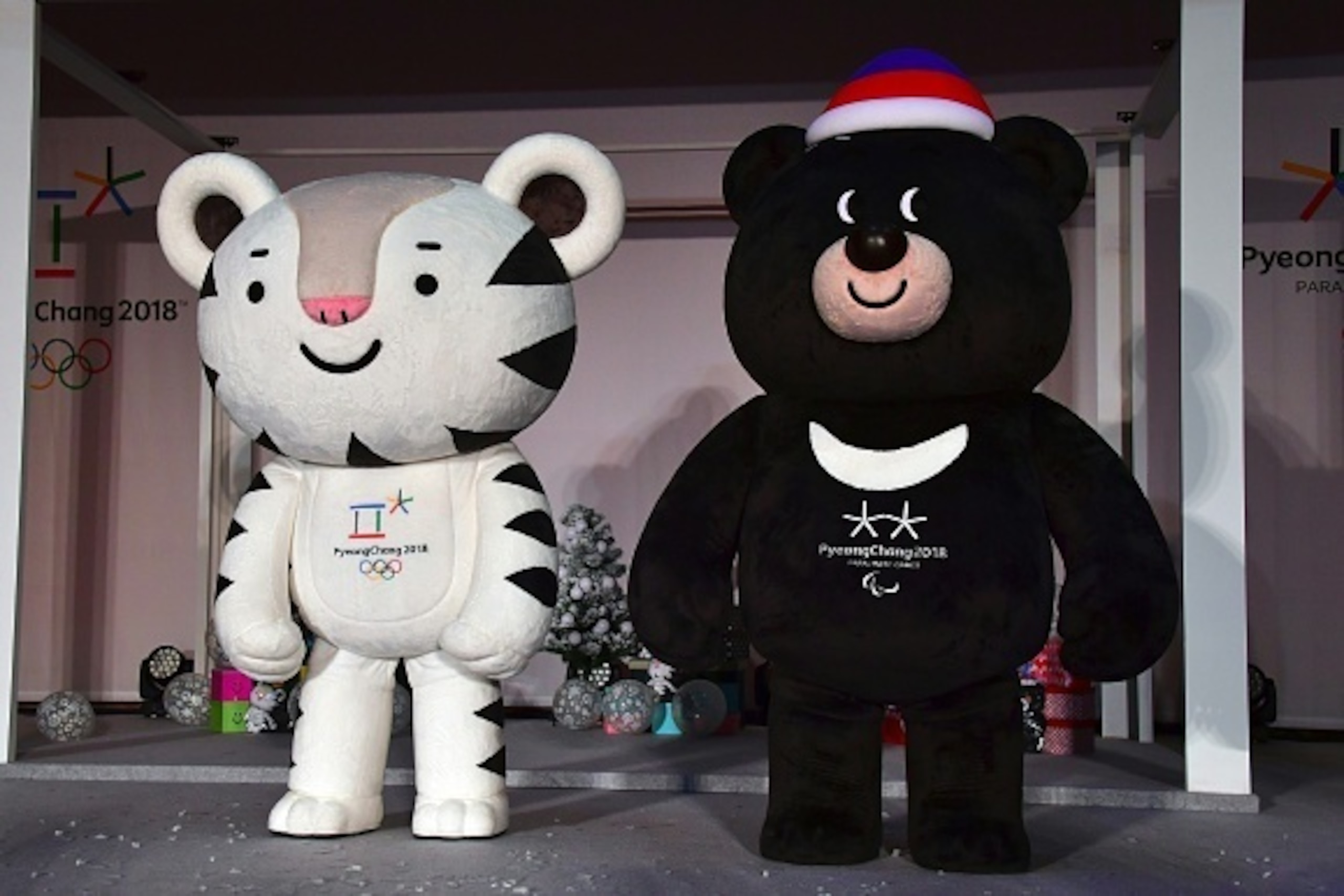 Mascots for South Korea's 2018 Pyeongchang Winter Olympics, a white tiger named 'Soohorang' (L) and an Asiatic black bear named 'Bandabi' (R), stand on a stage during the mascots' first public staging event at Hoenggye elementary school in Pyeongchang, ab