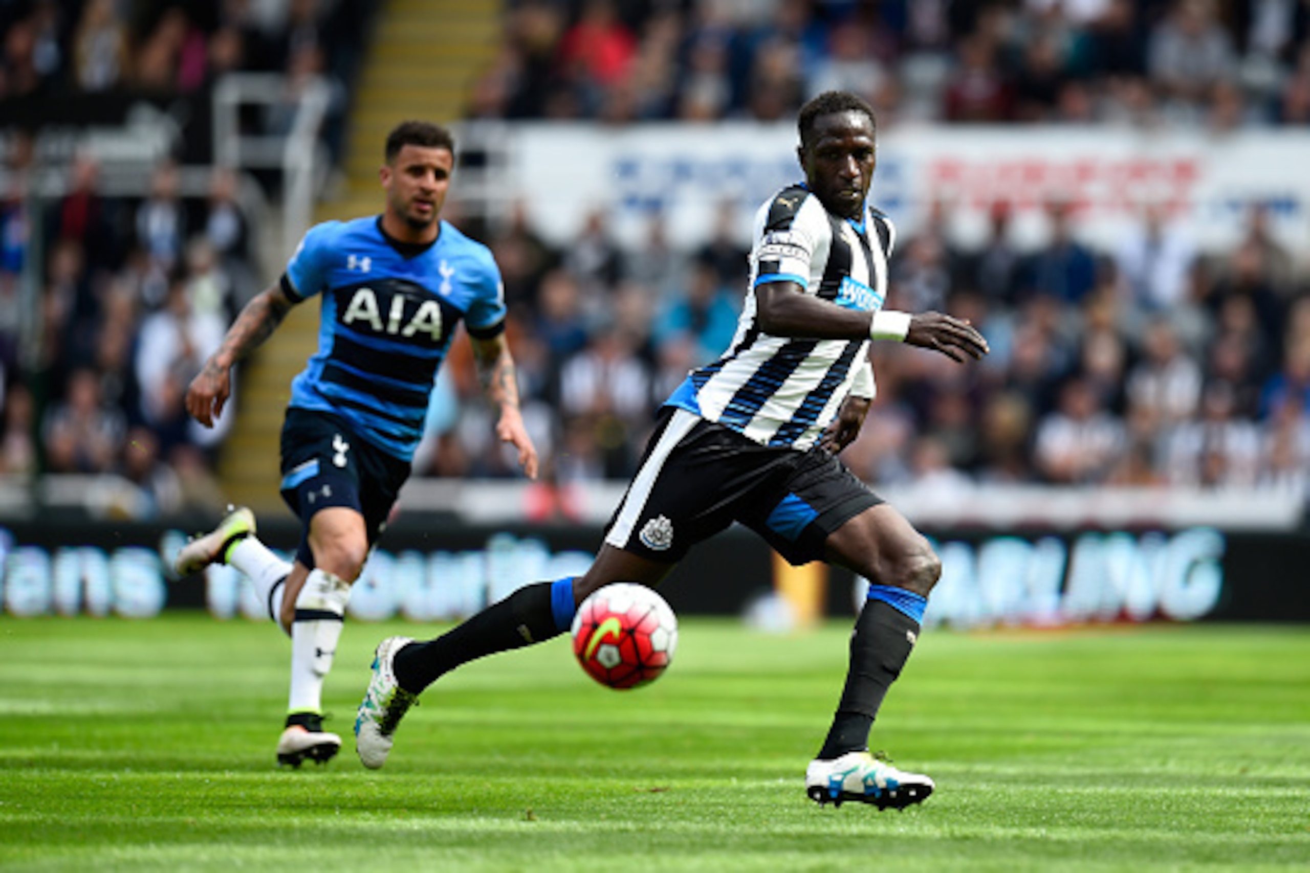 NEWCASTLE UPON TYNE, ENGLAND - MAY 15: Captain Moussa Sissoko of Newcastle United in action during the Premier League match between Newcastle United and Tottenham Hotspur at St James' Park on May 15, 2016 in Newcastle upon Tyne, England. (Photo by Stu F NEWCASTLE UPON TYNE, ENGLAND - MAY 15: Captain Moussa Sissoko of Newcastle United in action during the Premier League match between Newcastle United and Tottenham Hotspur at St James' Park on May 15, 2016 in Newcastle upon Tyne, England. (Photo by Stu F