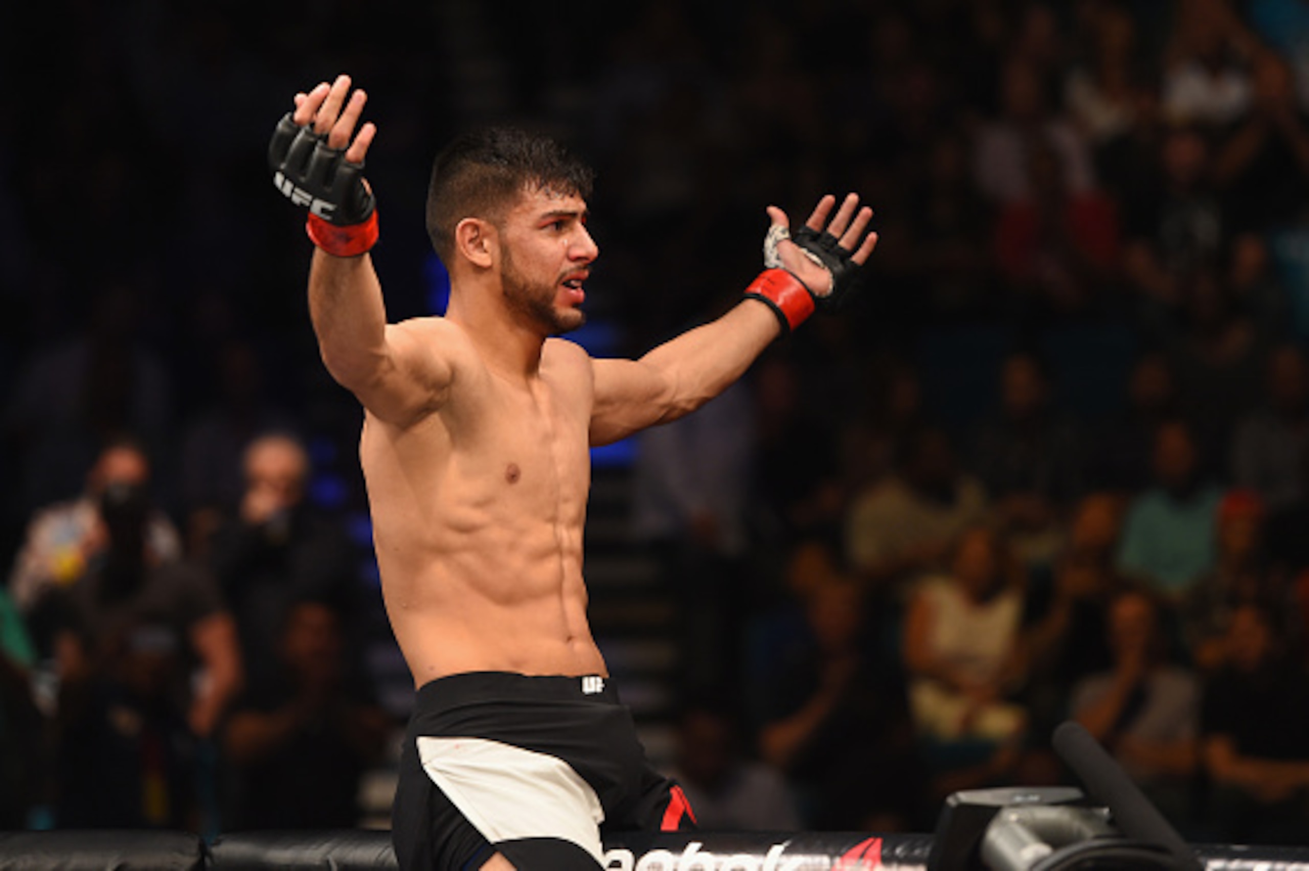 LAS VEGAS, NV - APRIL 23: Yair Rodriguez of Mexico celebrates his knockout victory over Andre Fili in their featherweight bout during the UFC 197 event inside MGM Grand Garden Arena on April 23, 2016 in Las Vegas, Nevada. (Photo by Josh Hedges/Zuffa LLC LAS VEGAS, NV - APRIL 23: Yair Rodriguez of Mexico celebrates his knockout victory over Andre Fili in their featherweight bout during the UFC 197 event inside MGM Grand Garden Arena on April 23, 2016 in Las Vegas, Nevada. (Photo by Josh Hedges/Zuffa LLC