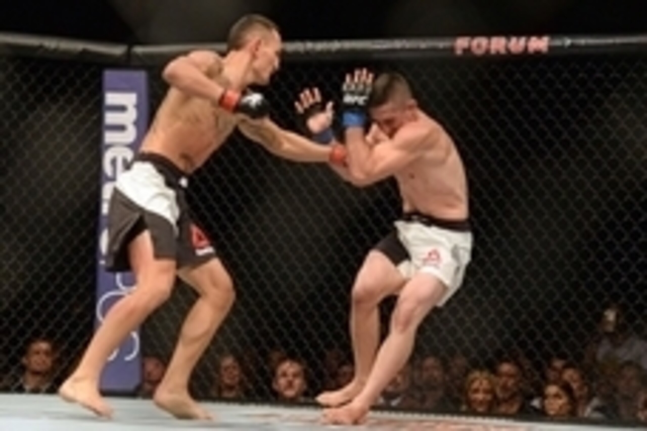Jun 4, 2016; Los Angeles, CA, USA; Ricardo Lamas (blue) fights Max Holloway (red) during UFC 199 at The Forum. Mandatory Credit: Jake Roth-USA TODAY Sports