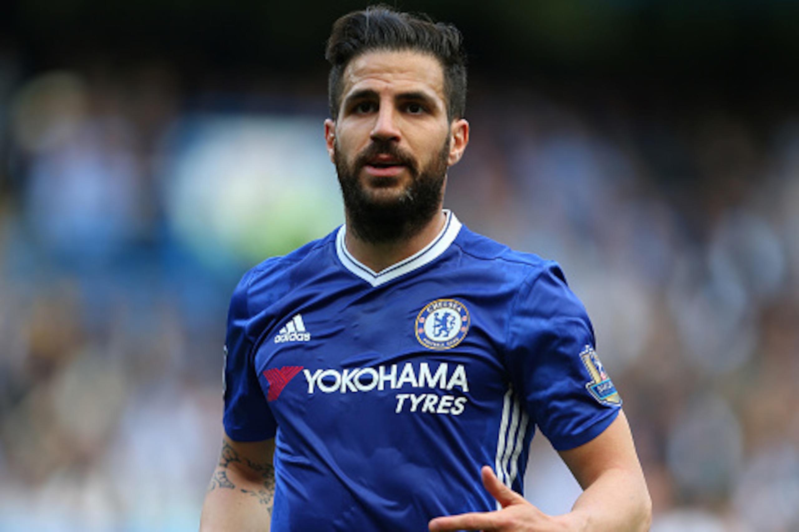 LONDON, ENGLAND - MAY 15: Cesc Fabregas of Chelsea during the Barclays Premier League match between Chelsea and Leicester City at Stamford Bridge on May 15, 2016 in London, England. (Photo by Catherine Ivill - AMA/Getty Images)