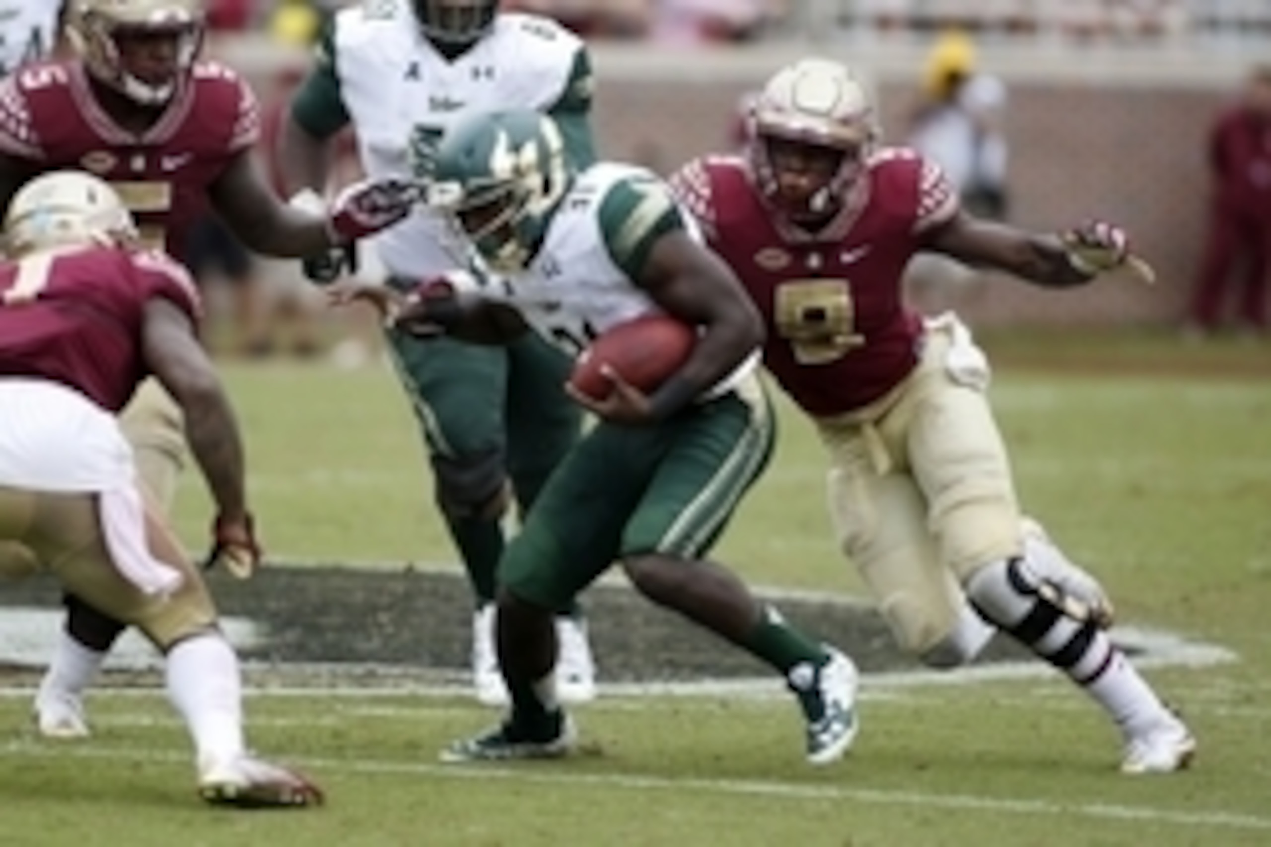 Sep 12, 2015; Tallahassee, FL, USA; Florida State Seminoles defensive end Josh Sweat (9) closes in on ball carrier South Florida Bulls running back Darius Tice (31) at Doak Campbell Stadium. Florida State won 34-14. Mandatory Credit: Glenn Beil-USA TODAY 