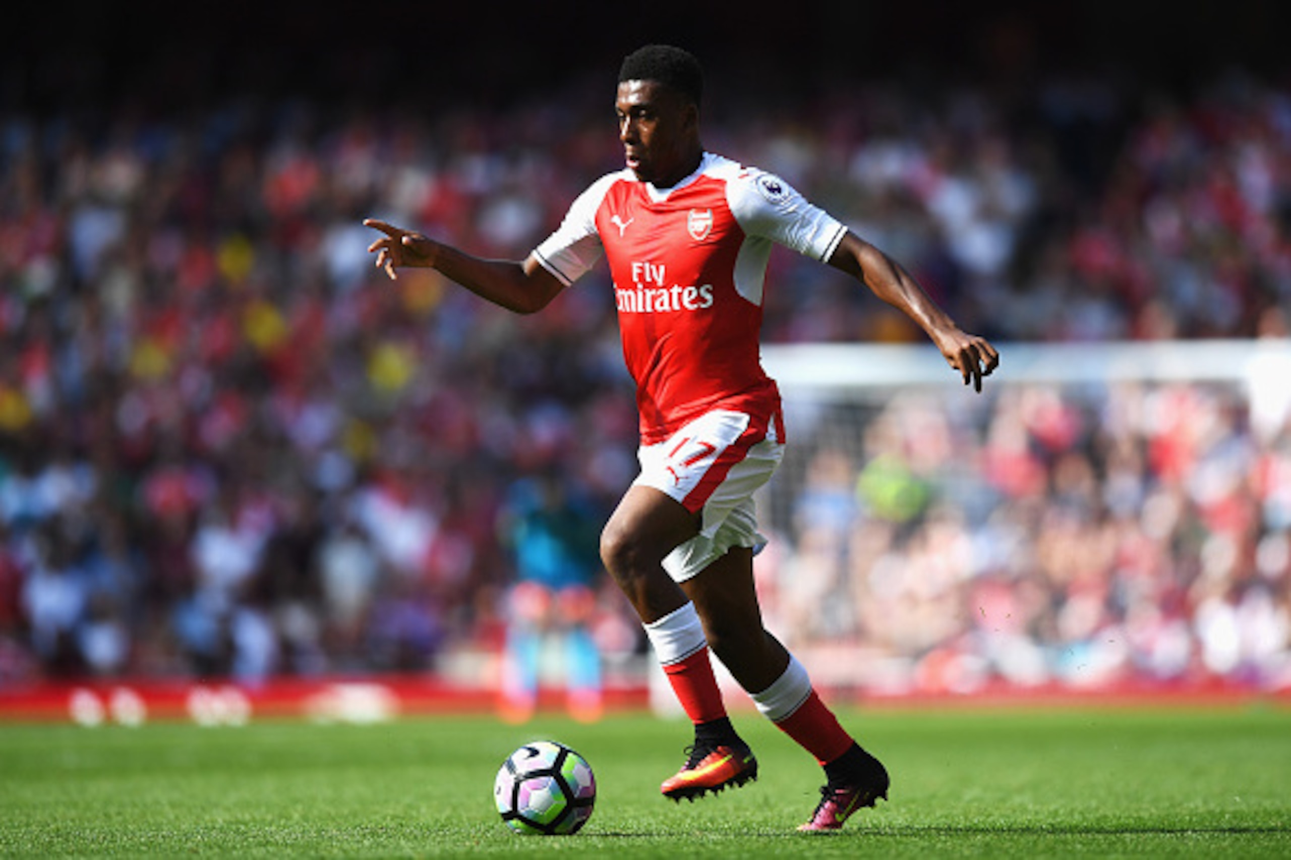 LONDON, ENGLAND - AUGUST 14:  Alex Iwobi of Arsenal in action during the Premier League match between Arsenal and Liverpool at Emirates Stadium on August 14, 2016 in London, England.  (Photo by Michael Regan/Getty Images)