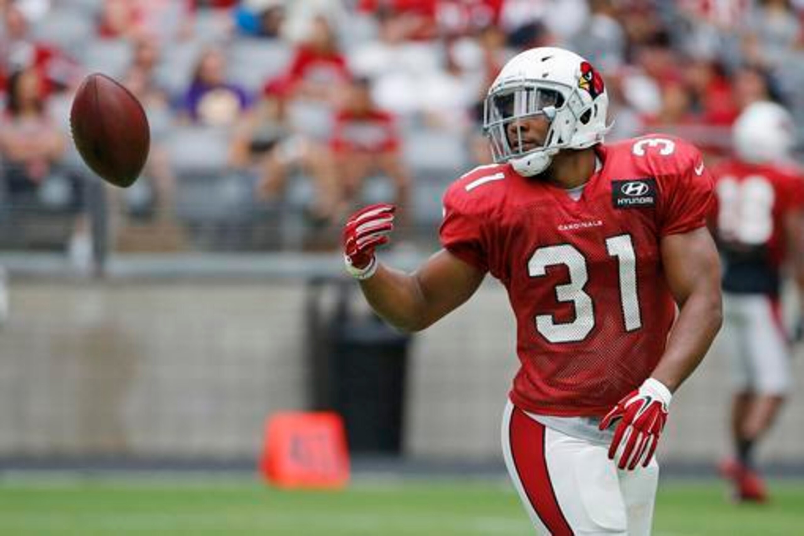 David Johnson looks like the surefire starter in Arizona.