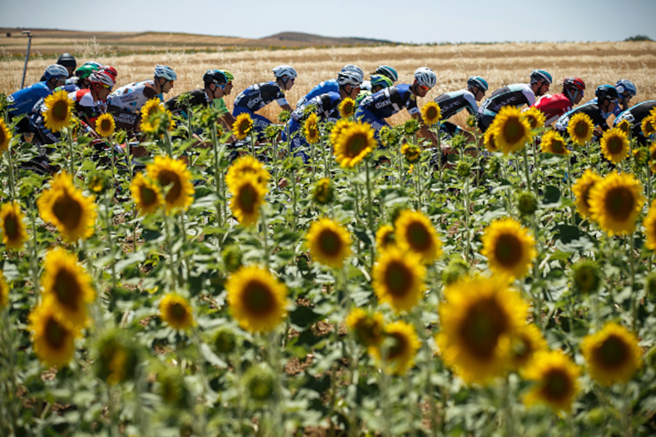 TOPSHOT - The pack rides during the first stage of the 38th edition of 'La Vuelta a Burgos' (Tour of Burgos), a 158 km ride from Sasamon to Melgar de Fernamental, in Burgos province on August 2, 2016. / AFP / CESAR MANSO        (Photo credit should read C