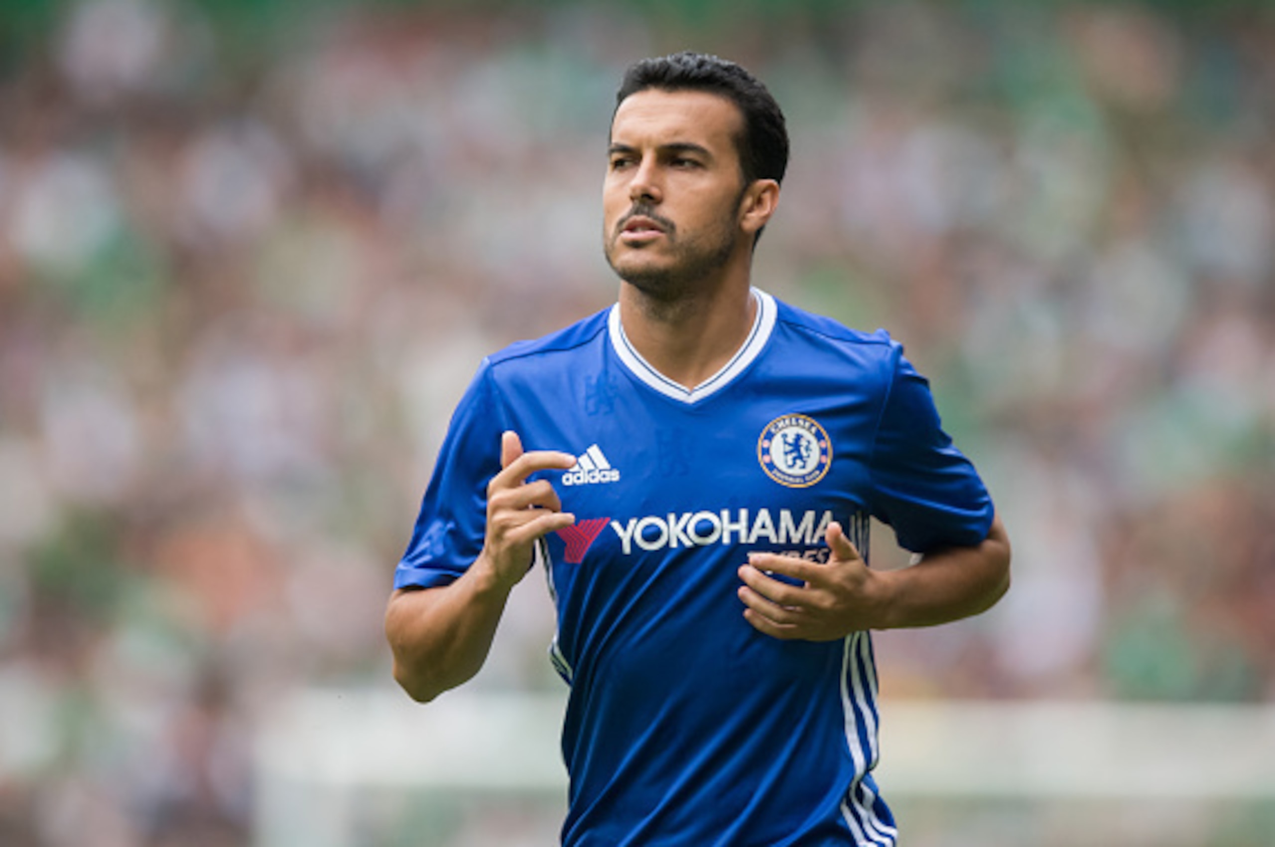 BREMEN, GERMANY - AUGUST 07: Pedro of Chelsea looks on during the pre-season friendly match between Werder Bremen and FC Chelsea at Weserstadion on August 7, 2016 in Bremen, Germany. (Photo by Boris Streubel/Getty Images) BREMEN, GERMANY - AUGUST 07: Pedro of Chelsea looks on during the pre-season friendly match between Werder Bremen and FC Chelsea at Weserstadion on August 7, 2016 in Bremen, Germany. (Photo by Boris Streubel/Getty Images)