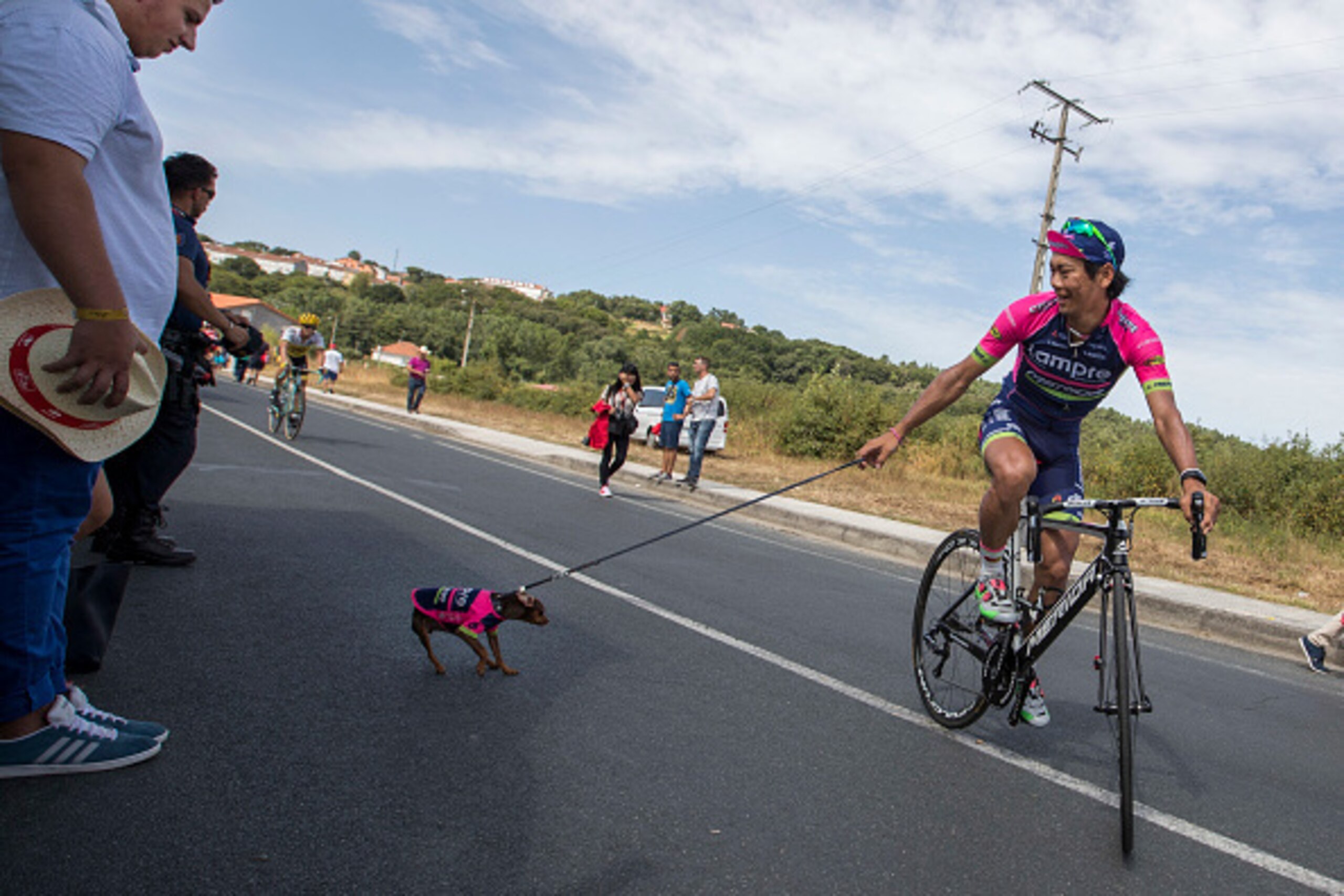 Lampre's Japonese cyclist Yukiya Arashiro walking his dog Corin prior to the 7th stage of the 71st edition of 'La Vuelta' Tour of Spain, a 158,5 km route between Maceda to Puebla de Sanabria on August 26, 2016. / AFP / JAIME REINA        (Photo credit sho