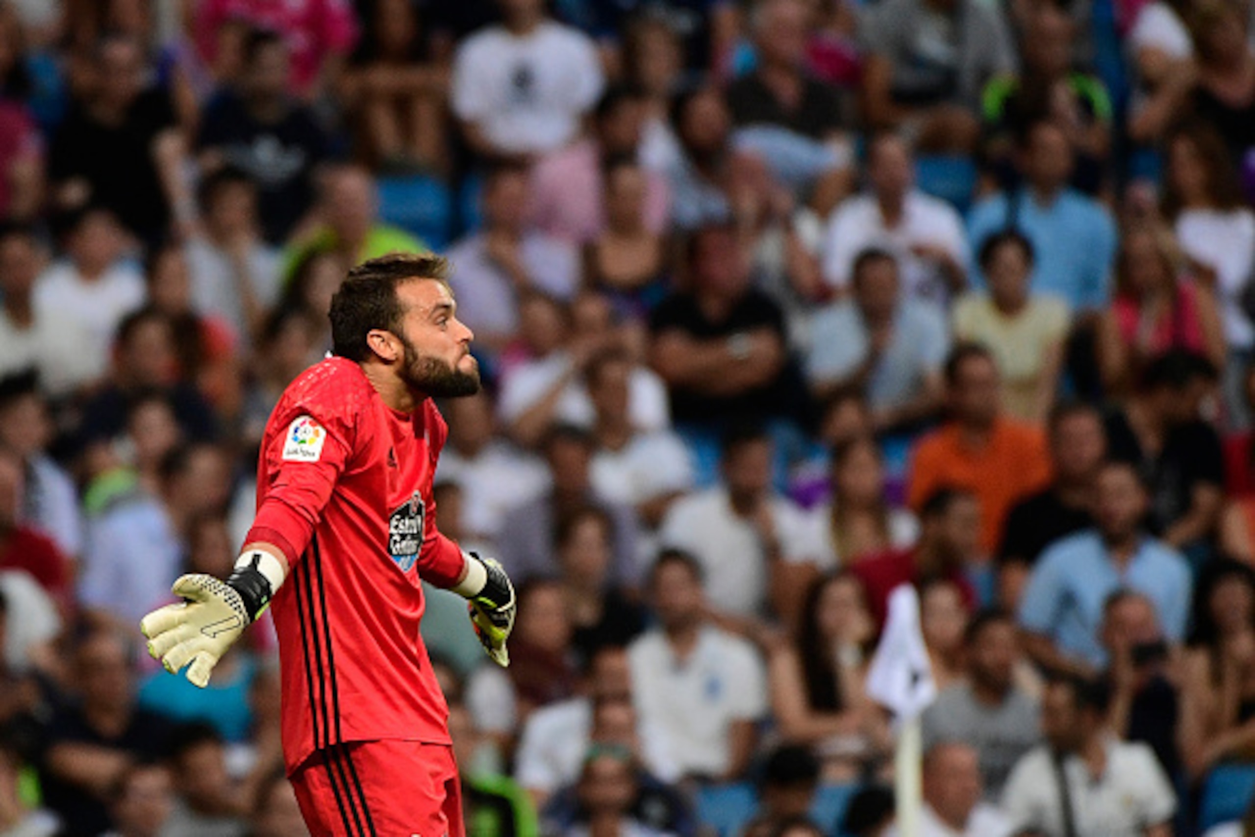 Celta Vigo's goalkeeper Sergio Alvarez gestures during the Spanish league football match Real Madrid CF vs RC Celta de Vigo at the Santiago Bernabeu stadium in Madrid on August 27, 2016. / AFP / PIERRE-PHILIPPE MARCOU (Photo credit should read PIER Celta Vigo's goalkeeper Sergio Alvarez gestures during the Spanish league football match Real Madrid CF vs RC Celta de Vigo at the Santiago Bernabeu stadium in Madrid on August 27, 2016. / AFP / PIERRE-PHILIPPE MARCOU (Photo credit should read PIER