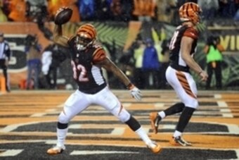 Jan 9, 2016; Cincinnati, OH, USA; Cincinnati Bengals running back Jeremy Hill (32) celebrates scoring a touchdown during the fourth quarter against the Pittsburgh Steelers in the AFC Wild Card playoff football game at Paul Brown Stadium. Mandatory Credit: