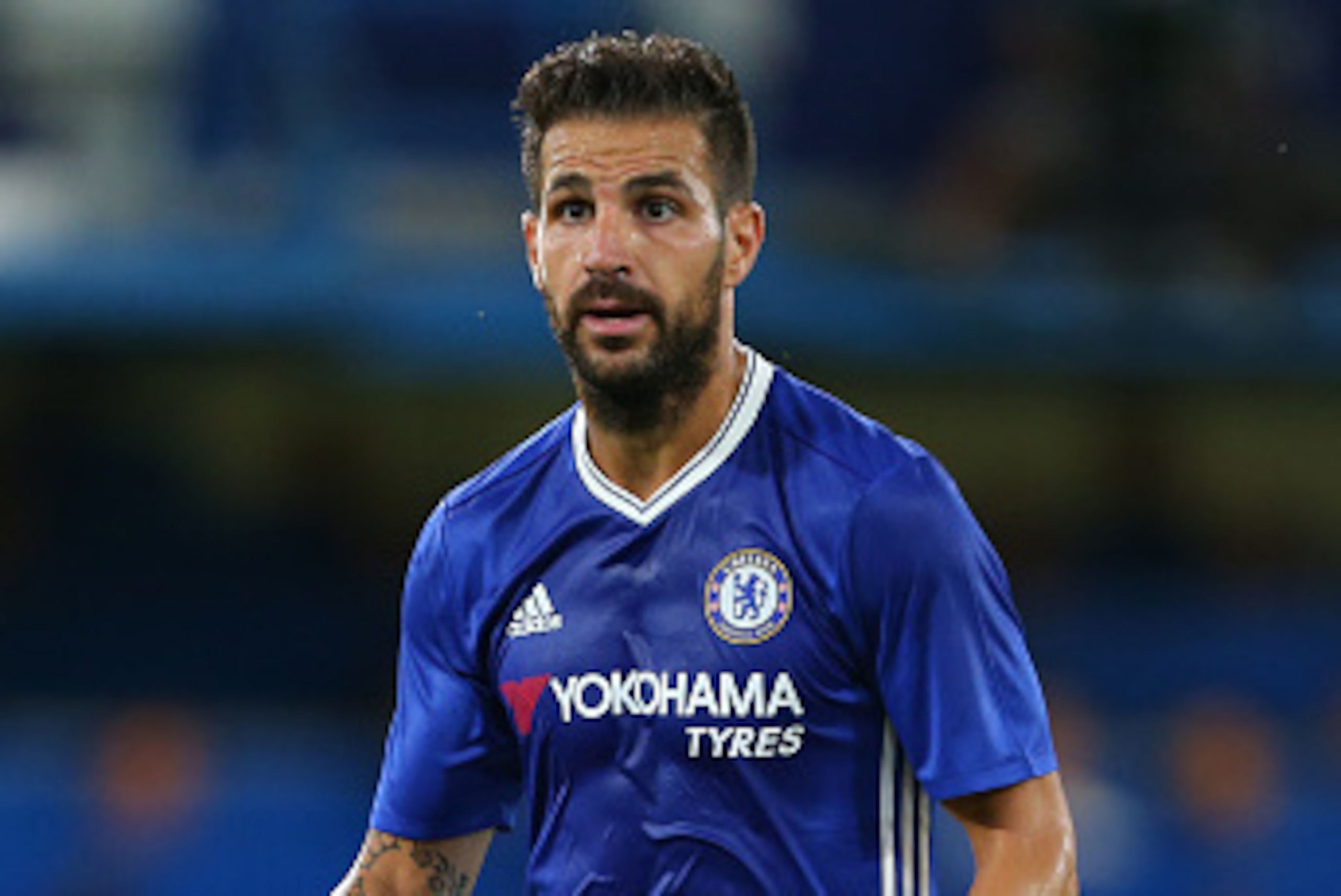 LONDON, ENGLAND - AUGUST 23: Cesc Fabregas of Chelsea during the EFL Cup match between Chelsea and Bristol Rovers at Stamford Bridge on August 23, 2016 in London, England. (Photo by Catherine Ivill - AMA/Getty Images)