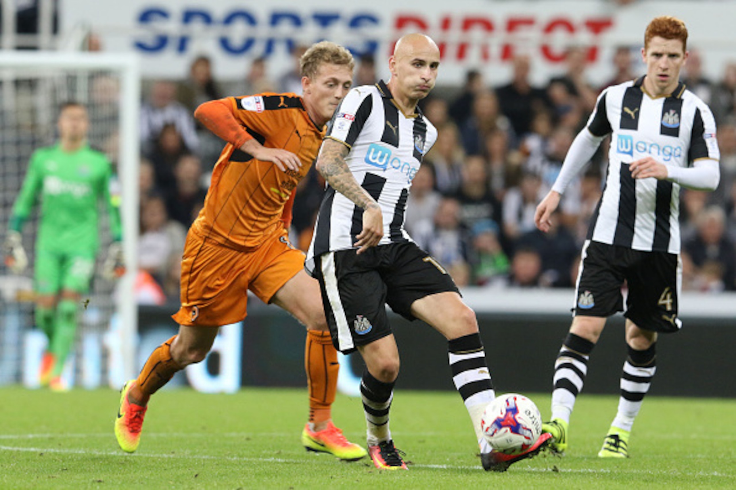 NEWCASTLE UPON TYNE, ENGLAND - SEPTEMBER 20: Jonjo Shelvey of Newcastle United during the EFL Cup third round match between Newcastle United and Wolverhampton Wanderers at St James' Park on September 20, 2016 in Newcastle upon Tyne, England. (Photo by Ian