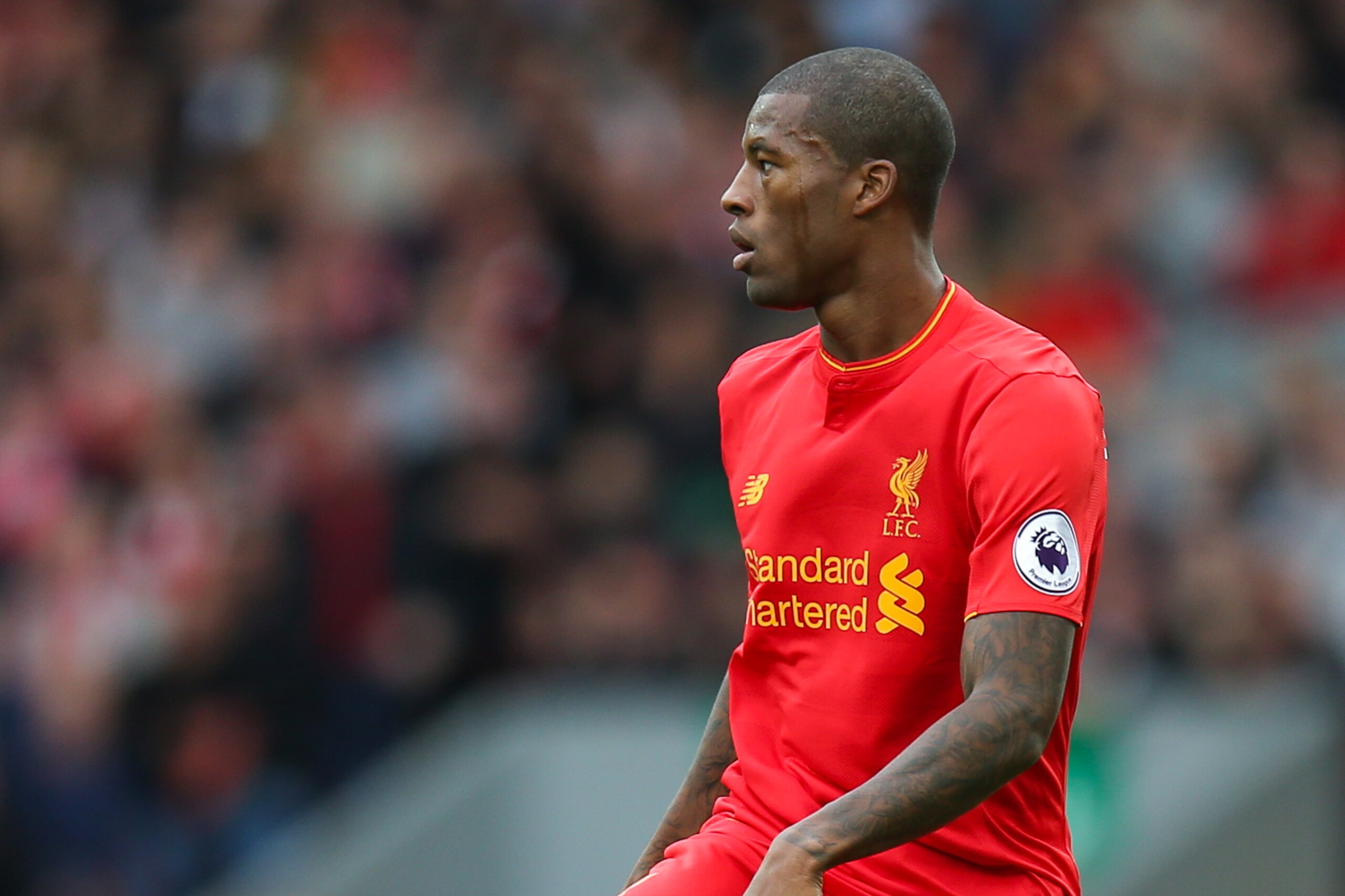 LIVERPOOL, ENGLAND - SEPTEMBER 24: Georginio Wijnaldum of Liverpool during the Premier League match between Liverpool and Hull City at Anfield on September 24, 2016 in Liverpool, England. (Photo by Robbie Jay Barratt - AMA/Getty Images)