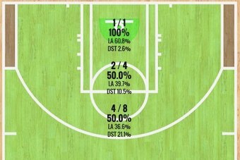 Nick Young's Preseason Shot Chart