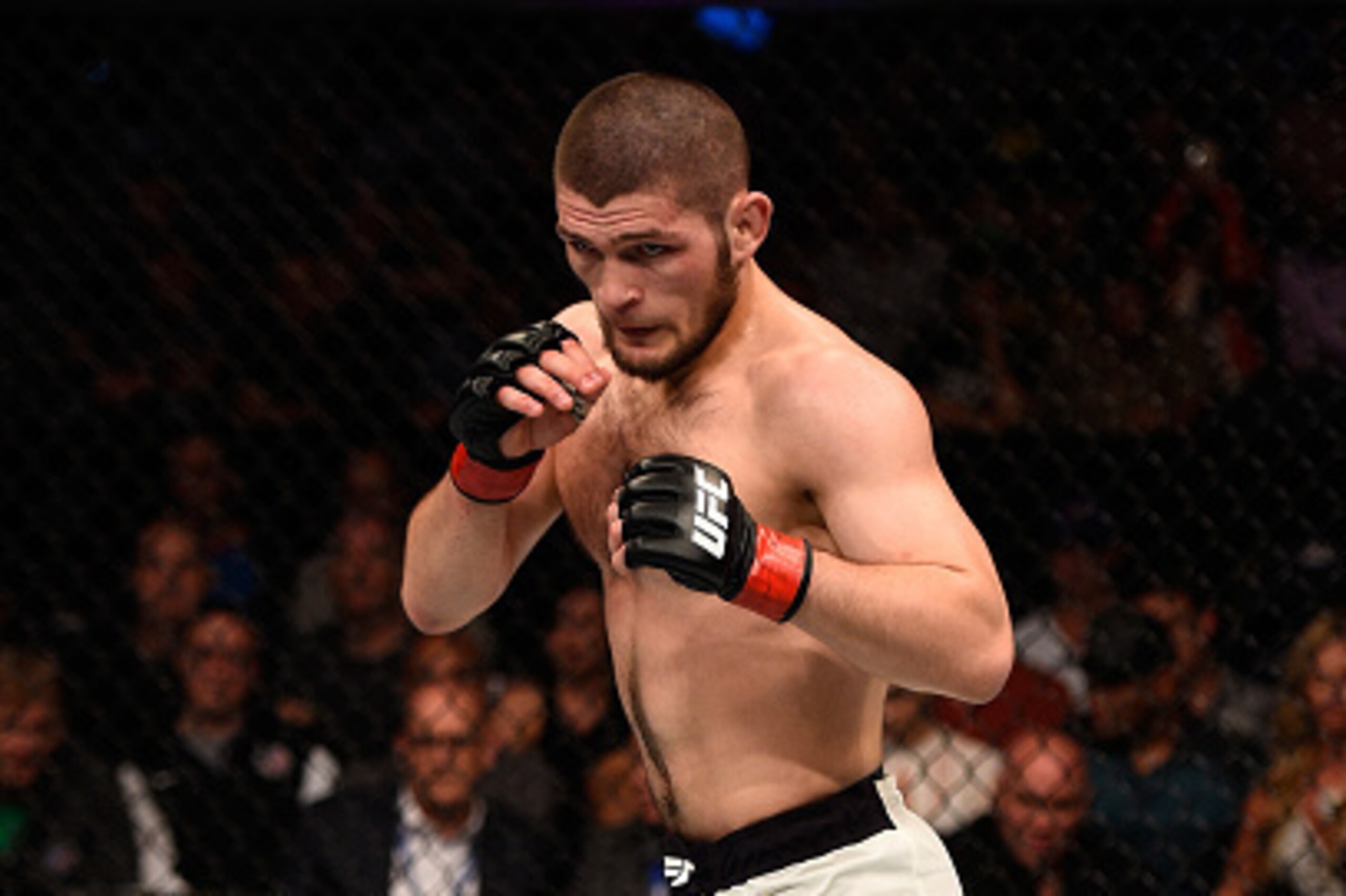 TAMPA, FL - APRIL 16:   Khabib Nurmagomedov circles Darrell Horcher in their lightweight bout during the UFC Fight Night event at Amalie Arena on April 16, 2016 in Tampa, Florida. (Photo by Jeff Bottari/Zuffa LLC/Zuffa LLC via Getty Images)