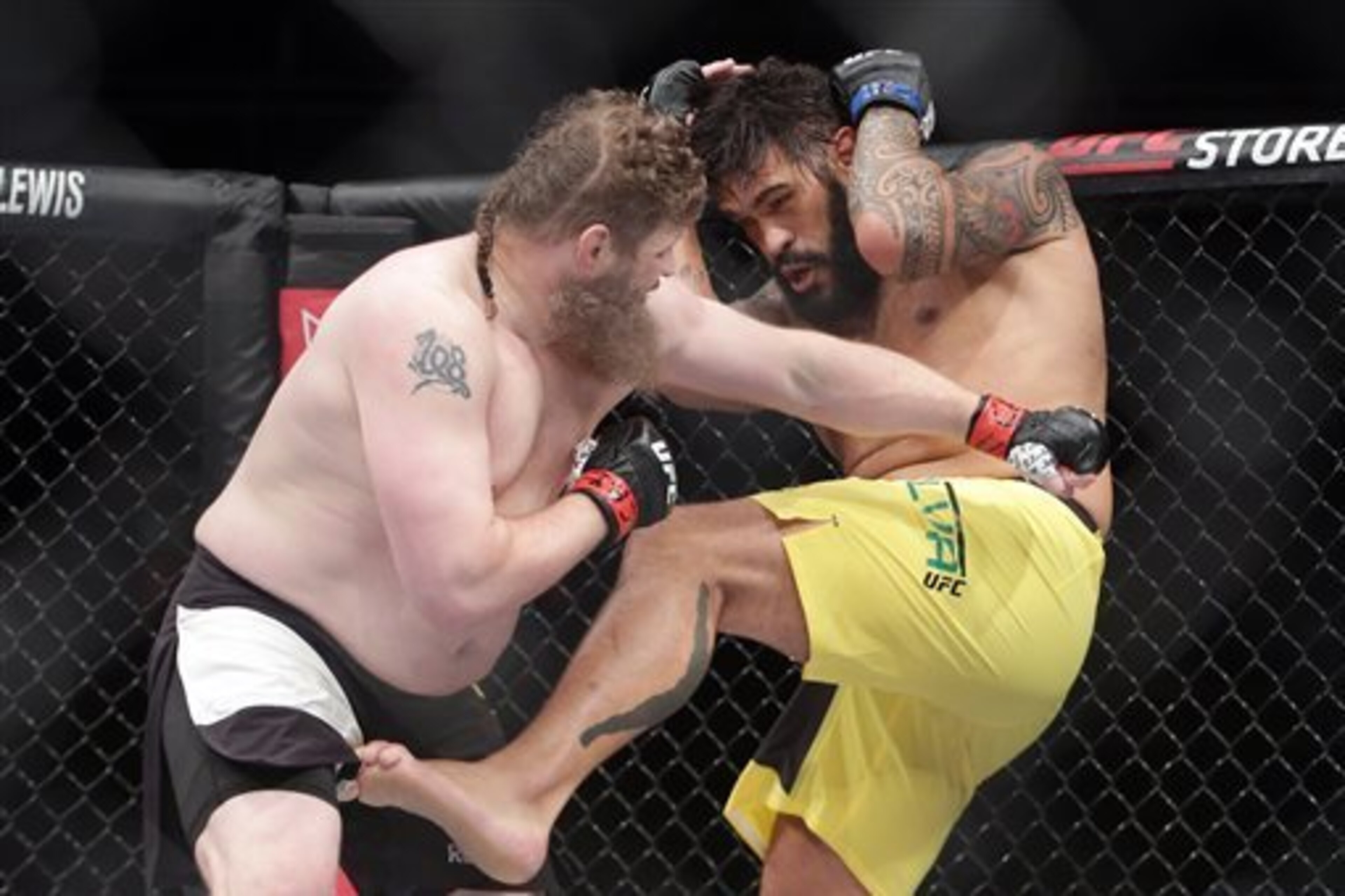 Roy Nelson (left) knocked out Antonio Silva in September.