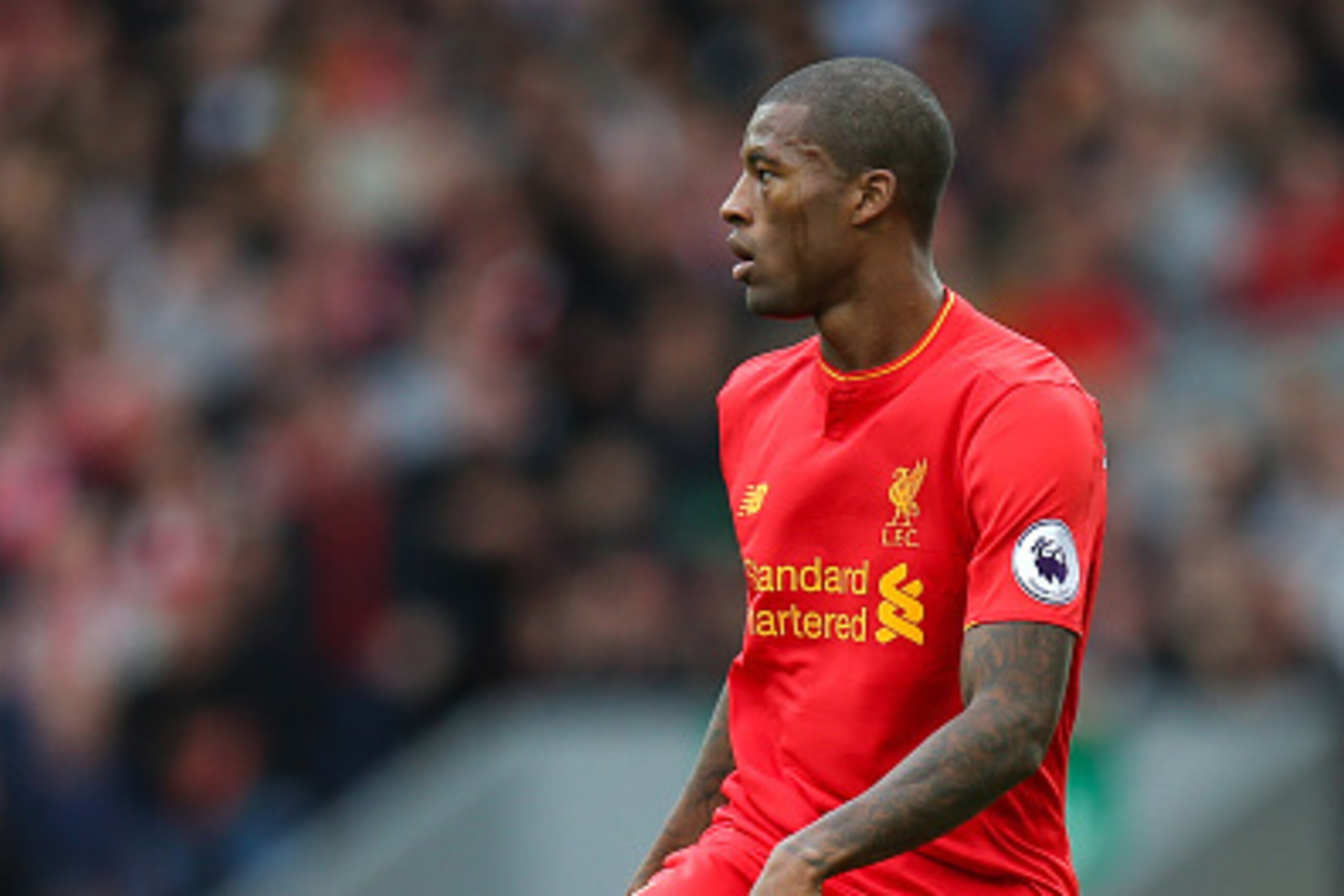 LIVERPOOL, ENGLAND - SEPTEMBER 24: Georginio Wijnaldum of Liverpool during the Premier League match between Liverpool and Hull City at Anfield on September 24, 2016 in Liverpool, England. (Photo by Robbie Jay Barratt - AMA/Getty Images)