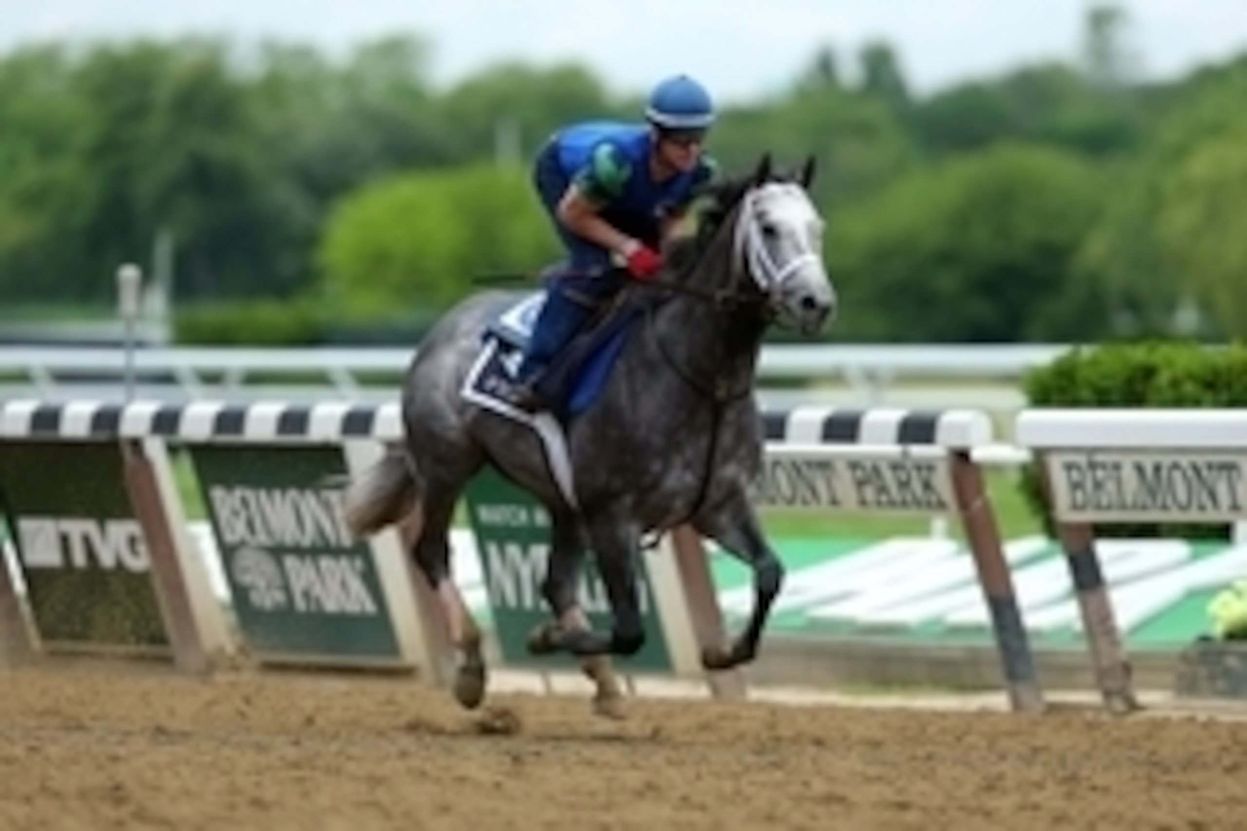 Jun 5, 2015; Elmont, NY, USA; Frosted trains the day before the 2015 Belmont Stakes at Belmont Park. Mandatory Credit: Brad Penner-USA TODAY Sports