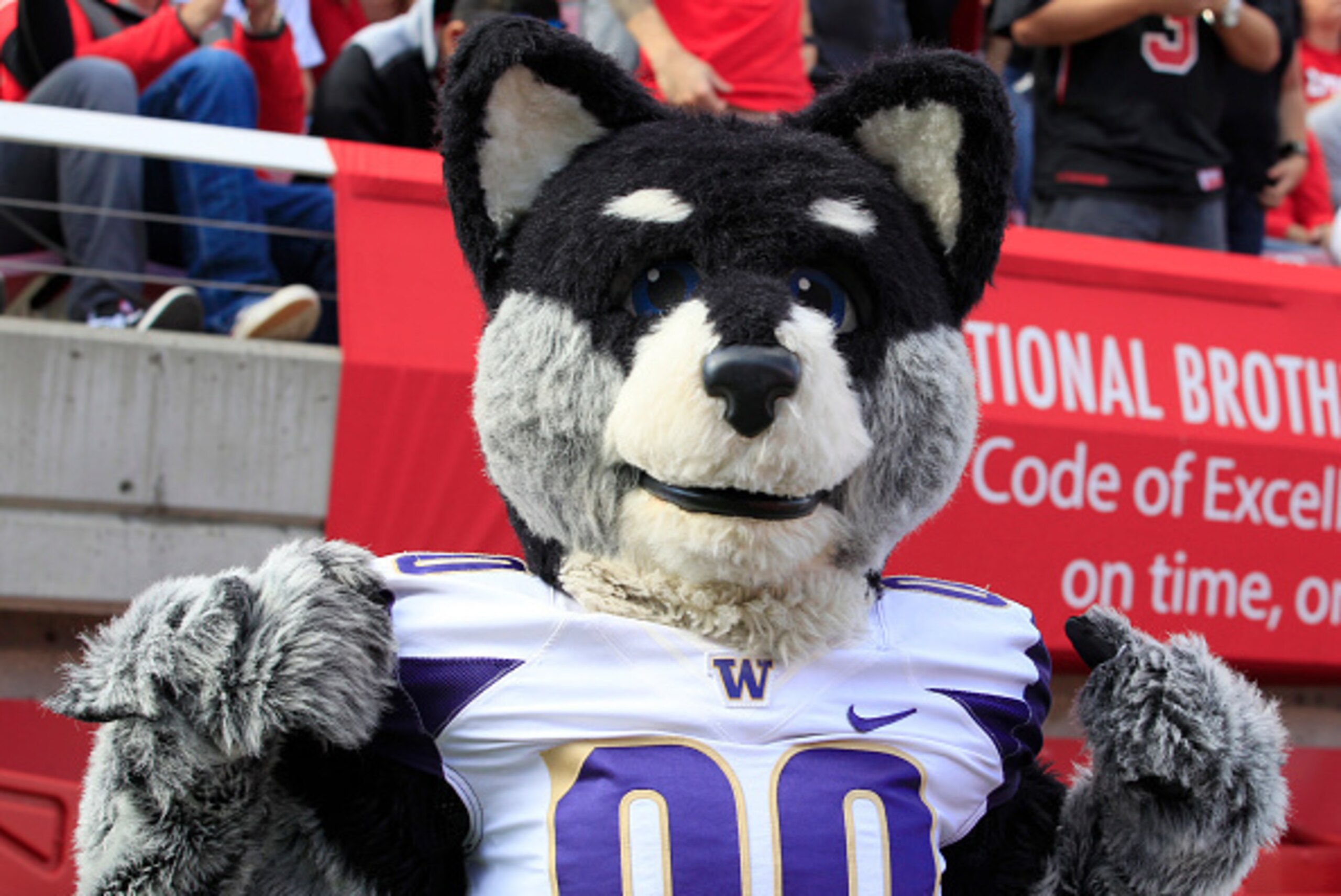 SALT LAKE CITY, UT - OCTOBER 29: This is a picture of the Utah Mascot, 'Swoop', right, and the Washington Huskies mascot 'Harry the Husky', left, at an NCAA football game at Rice-Eccles Stadium on October 29, 2016 in Salt Lake City, Utah. (Photo by George