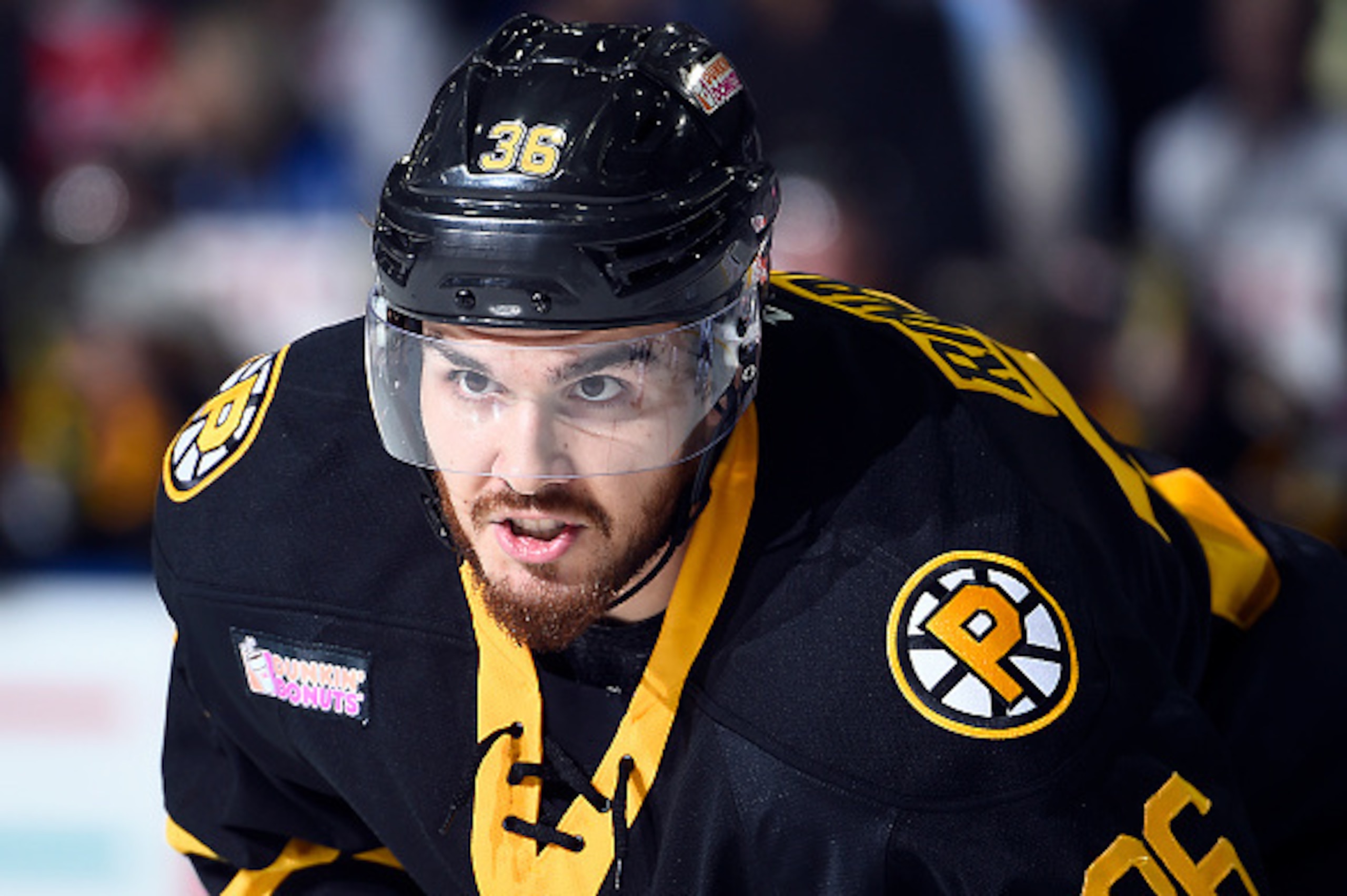 TORONTO , ON - OCTOBER 26: Zac Rinaldo #36 of the Providence Bruins prepares for a face-off against the Toronto Marlies during game action on October 26, 2016 at Ricoh Coliseum in Toronto, Ontario, Canada. (Photo by Graig Abel/Getty Images)